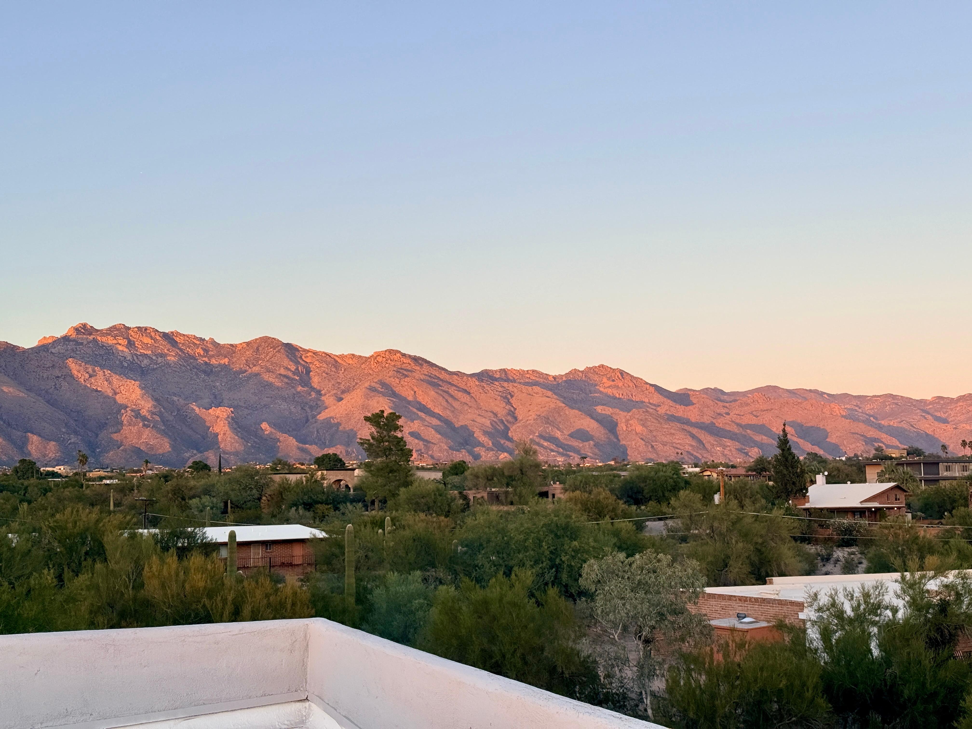 View from the rooftop deck.