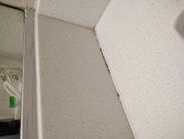 Mold