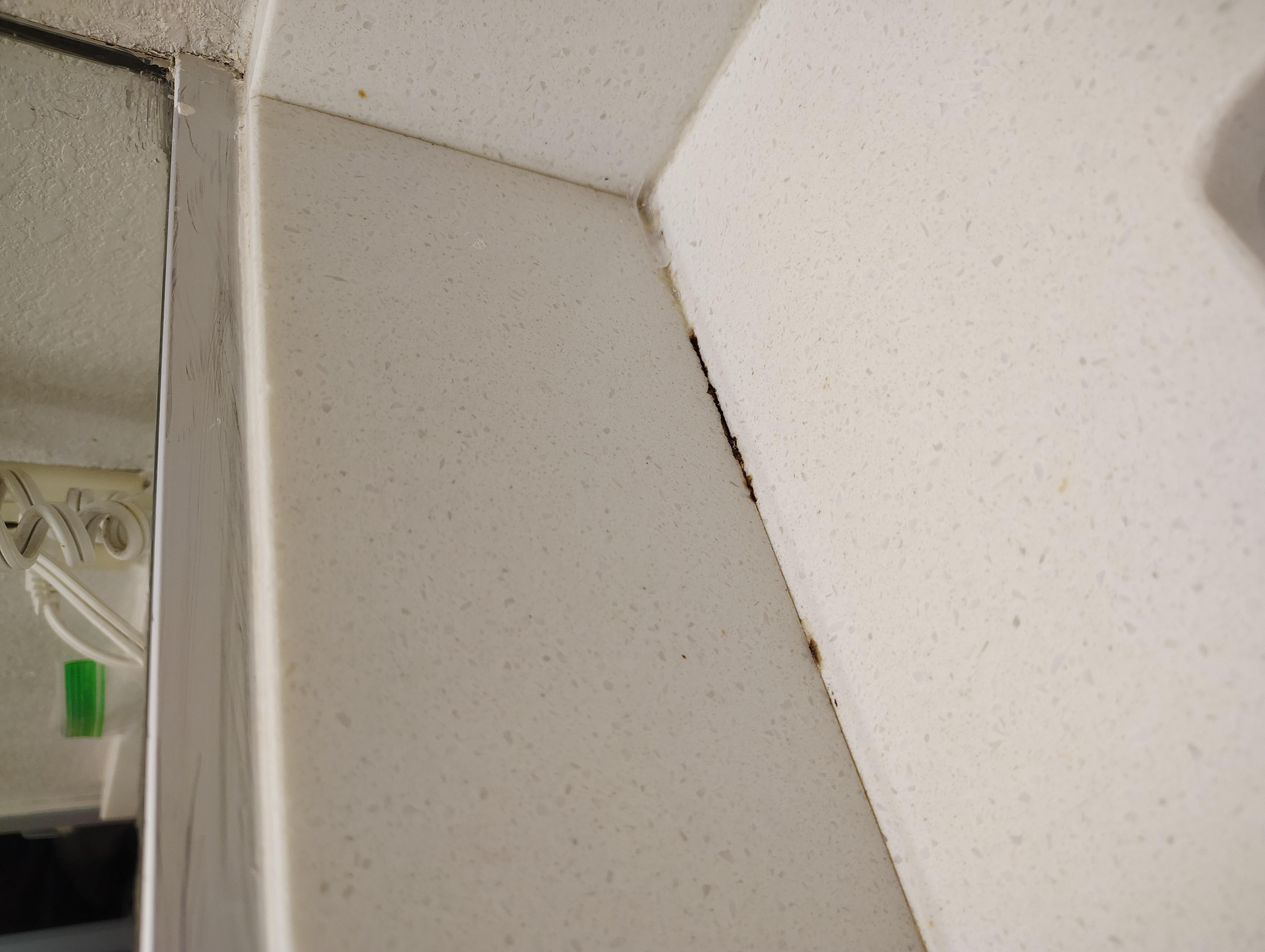 Mold