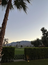 Shows the only break in the privacy hedge between backyard and golf course. So quiet and private here.