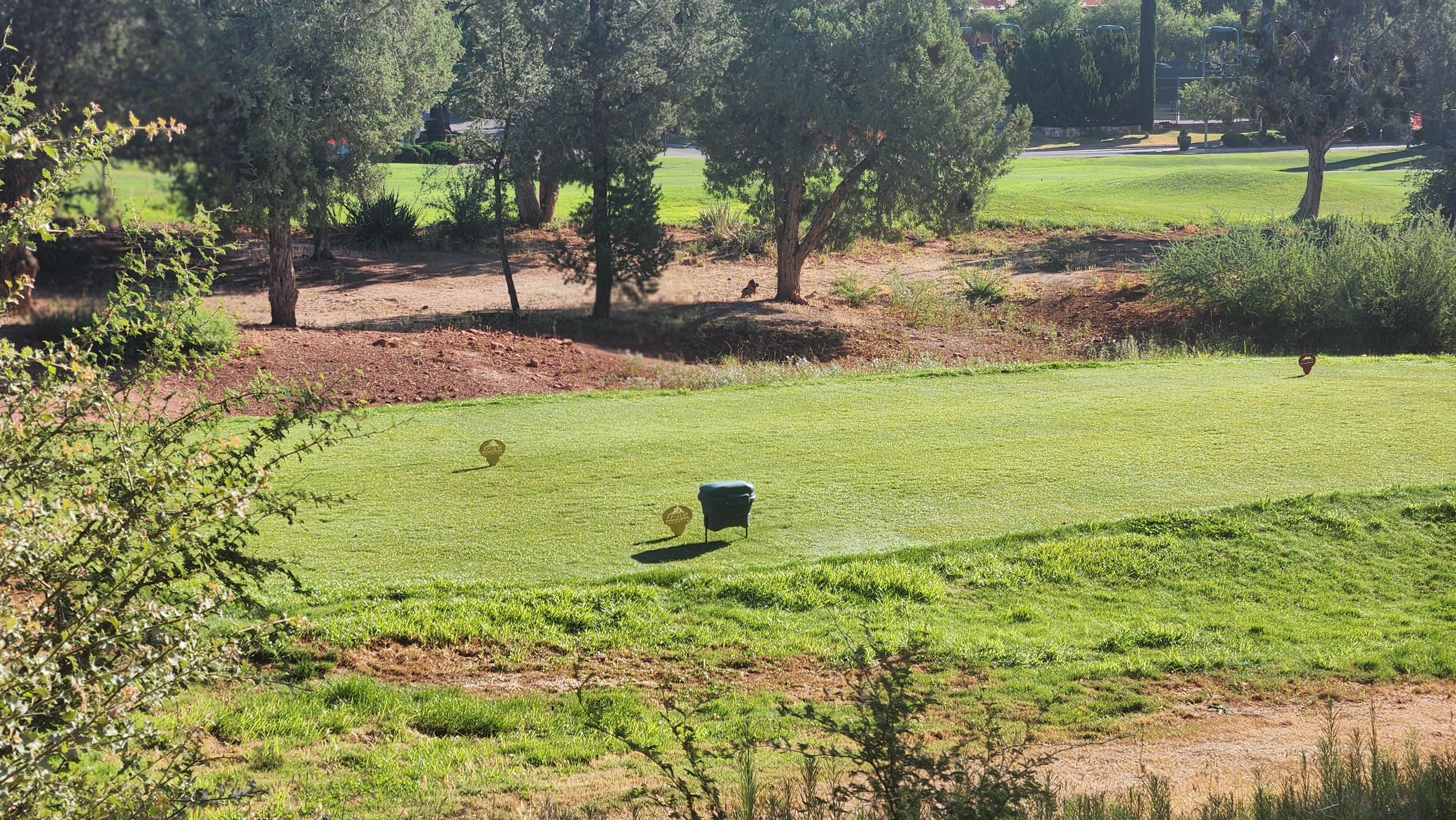 Golf course