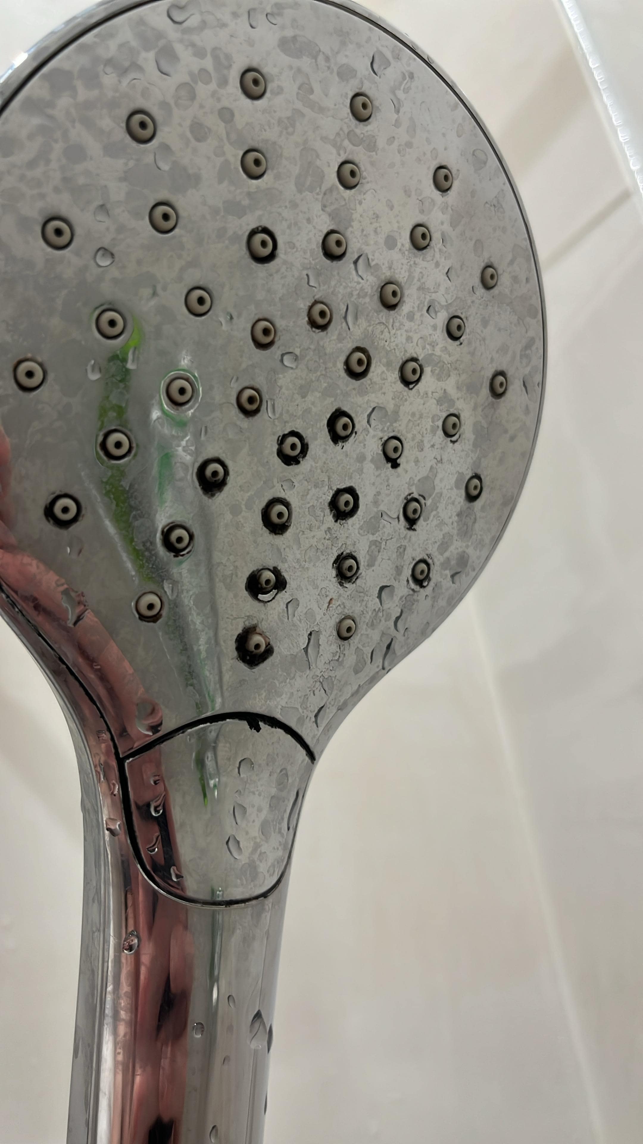 Mold