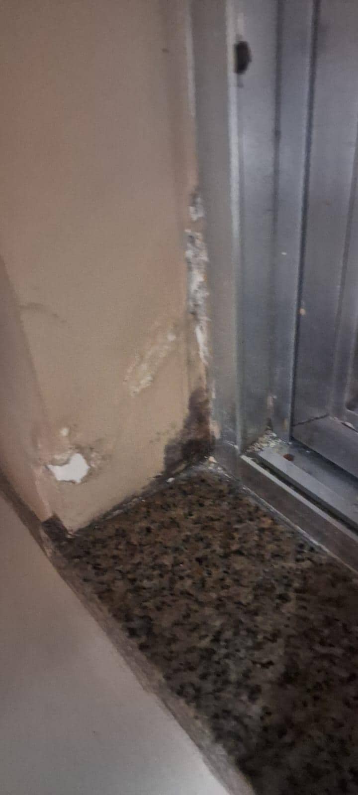 Bolor, sujeira e tinta estufada em alguns pontos da habitação.