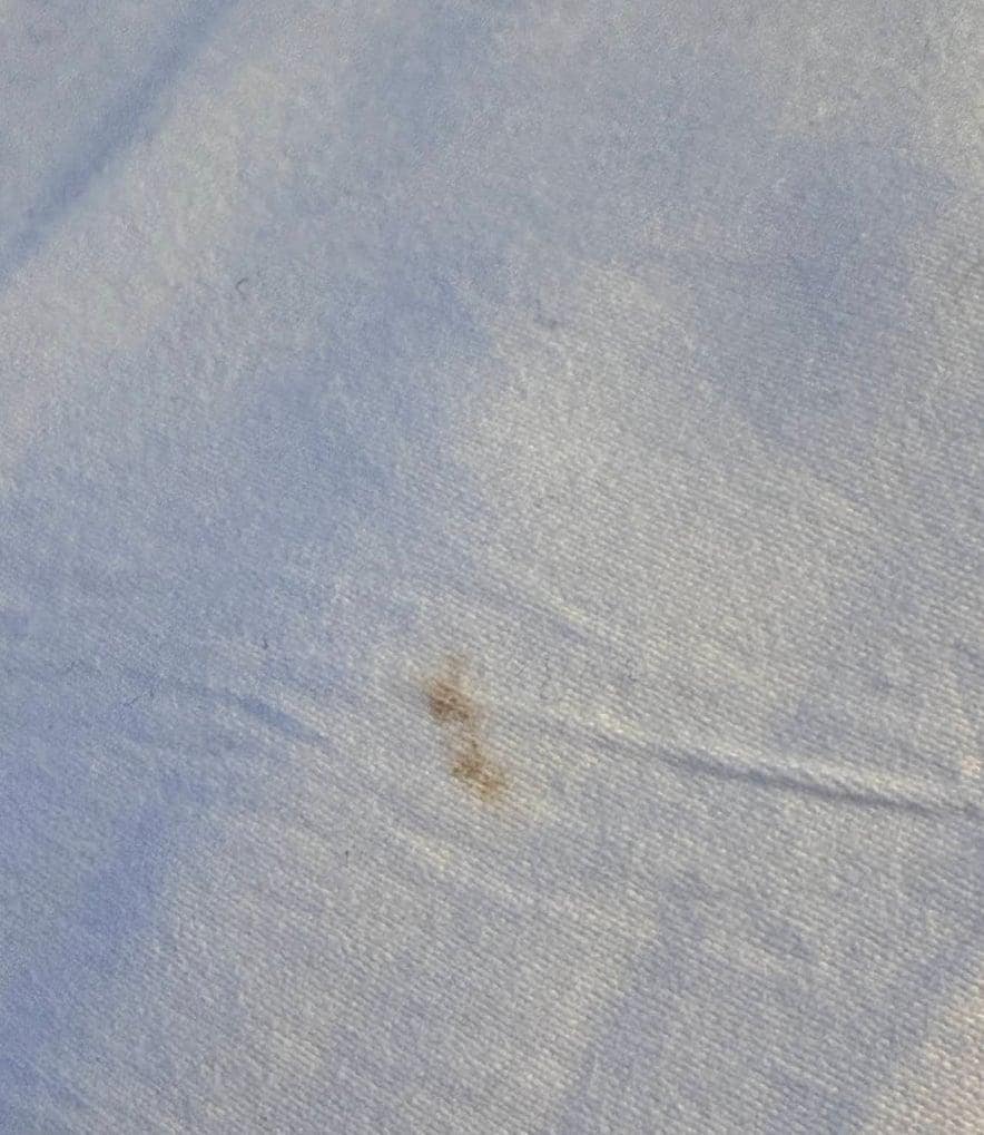 food that was stuck on to the pillow case