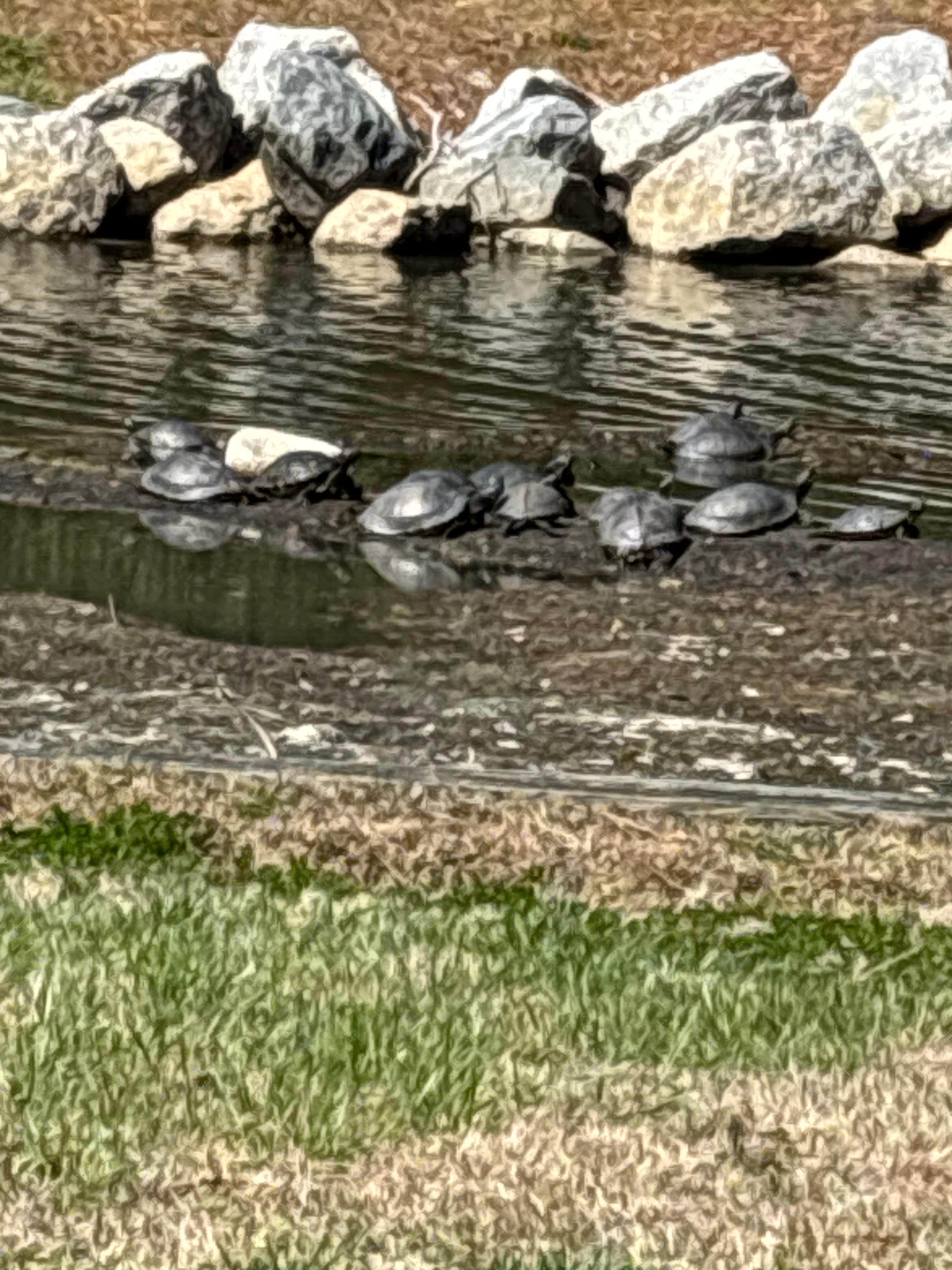 The inlet right next to the house