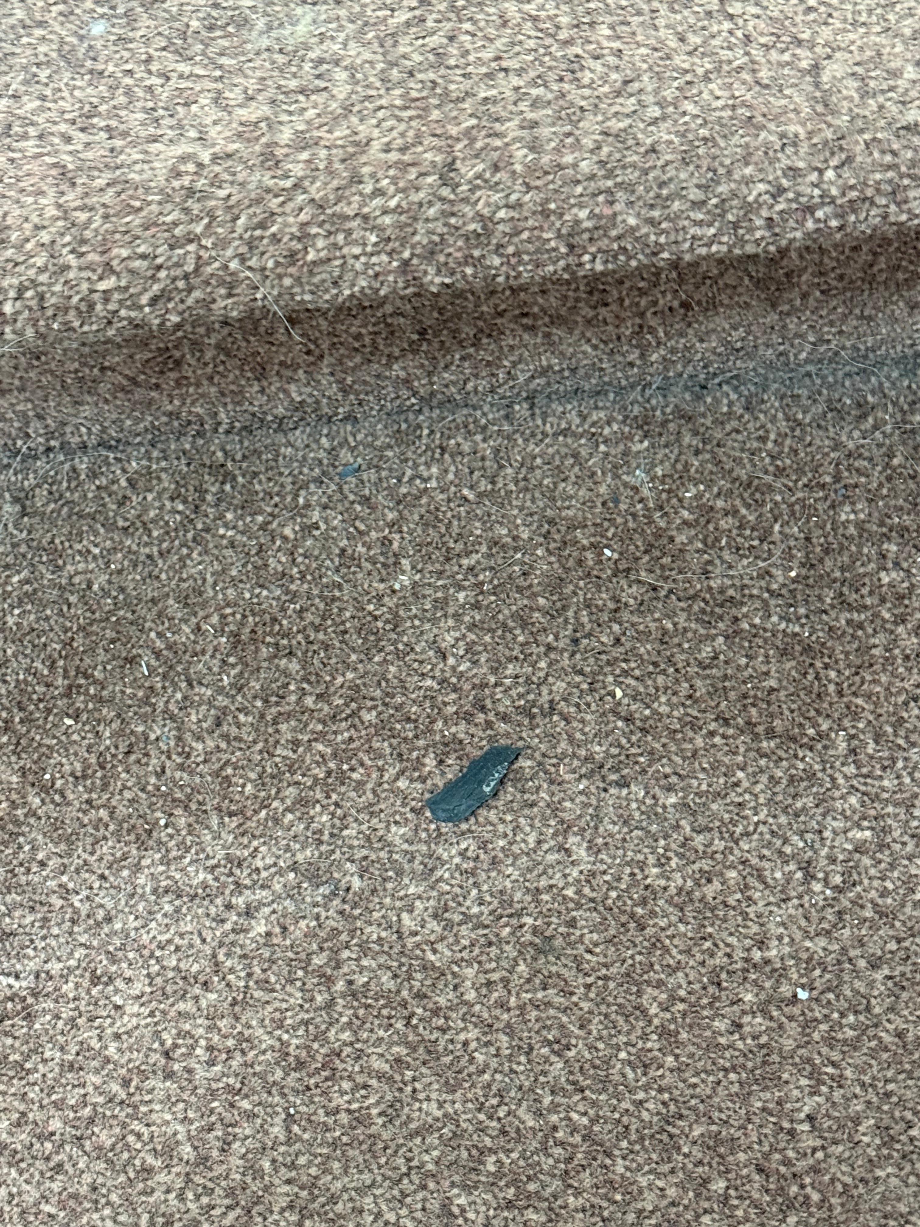 Dog poo? 