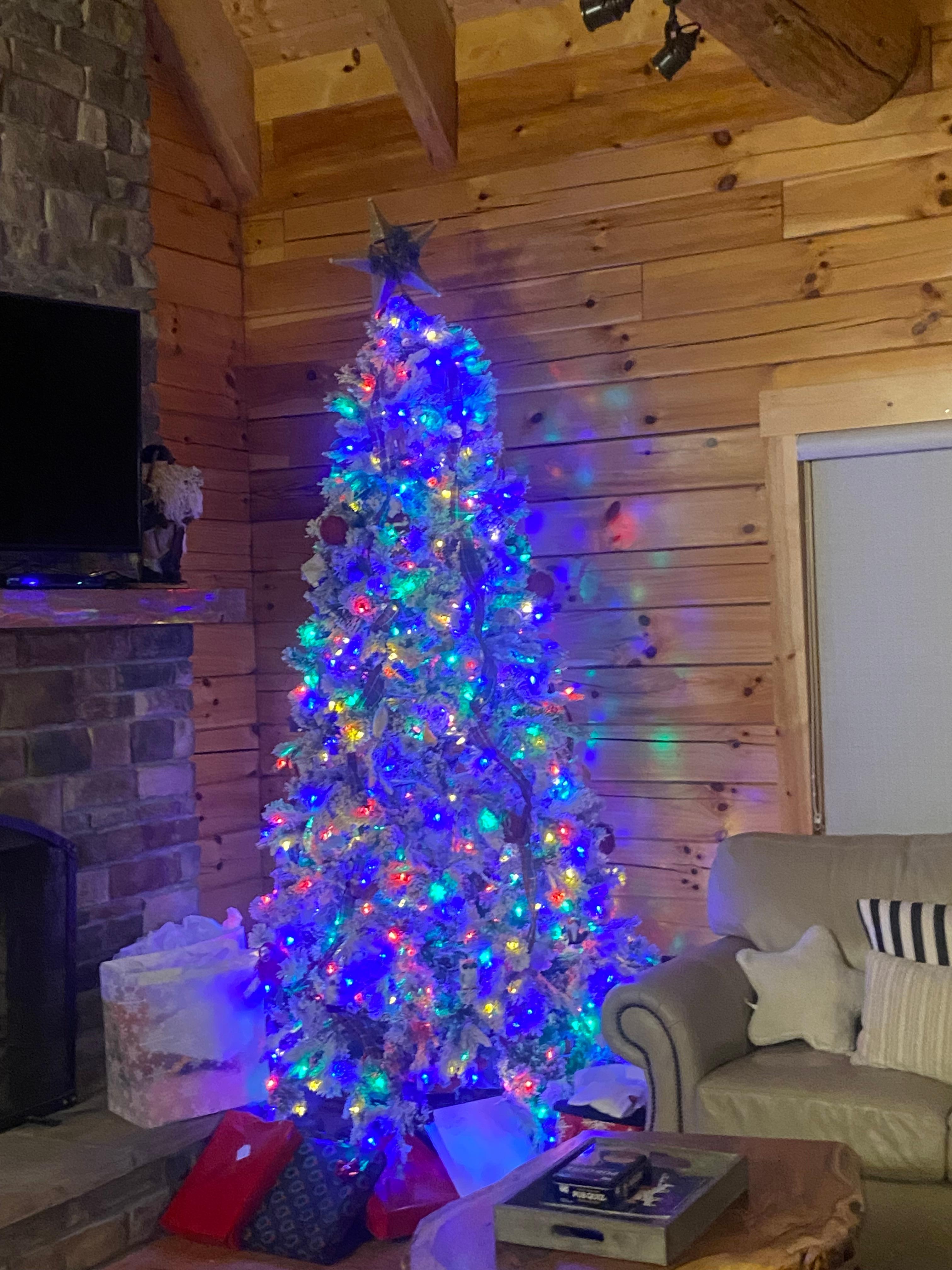 This tree was in the living room of the main cabin 
