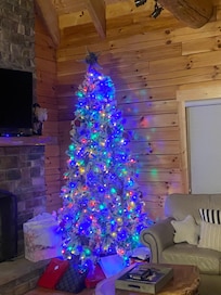 This tree was in the living room of the main cabin