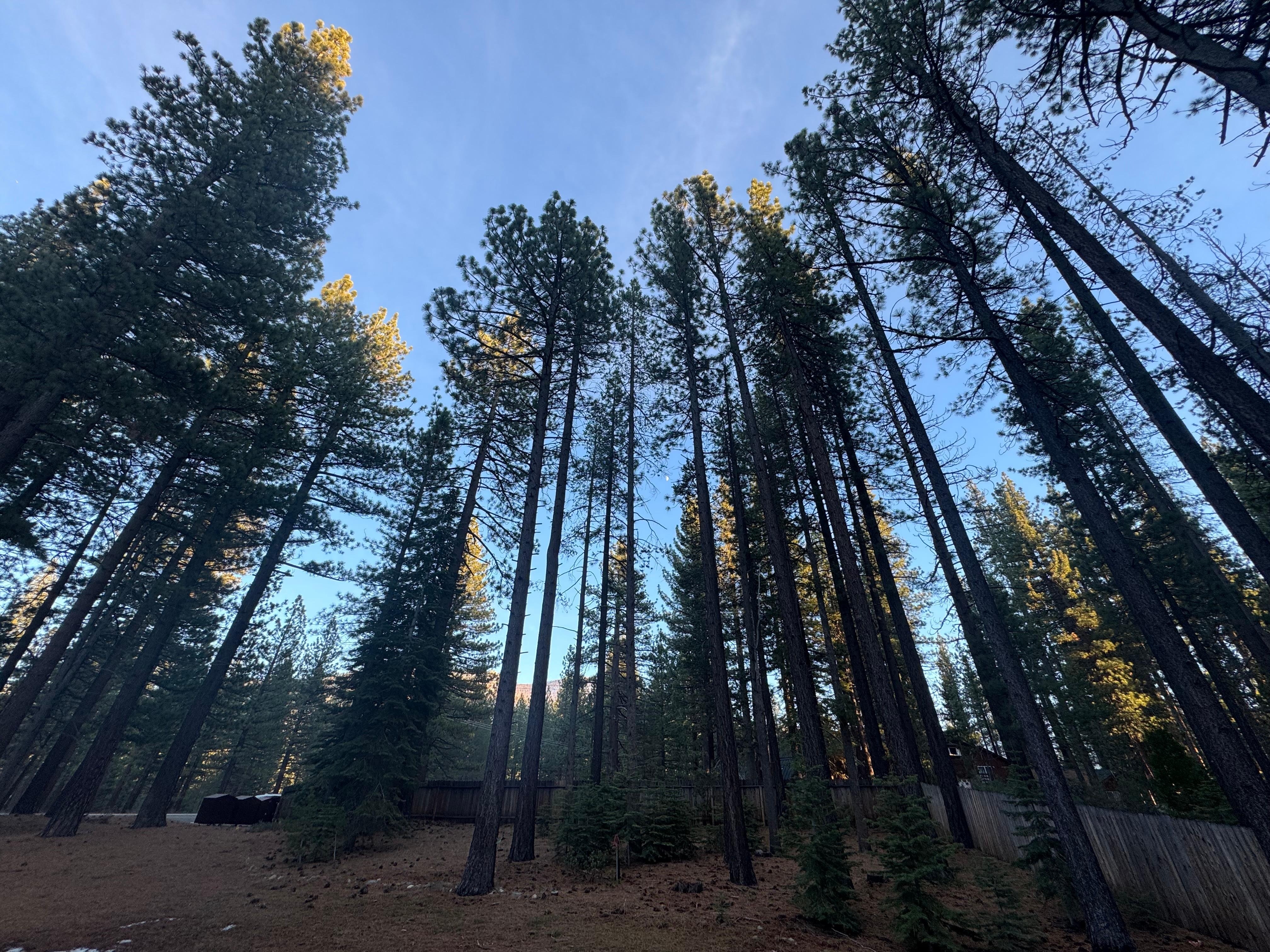 From the front porch at dusk. 