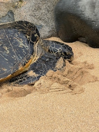 Sun on the beach outside the condo
