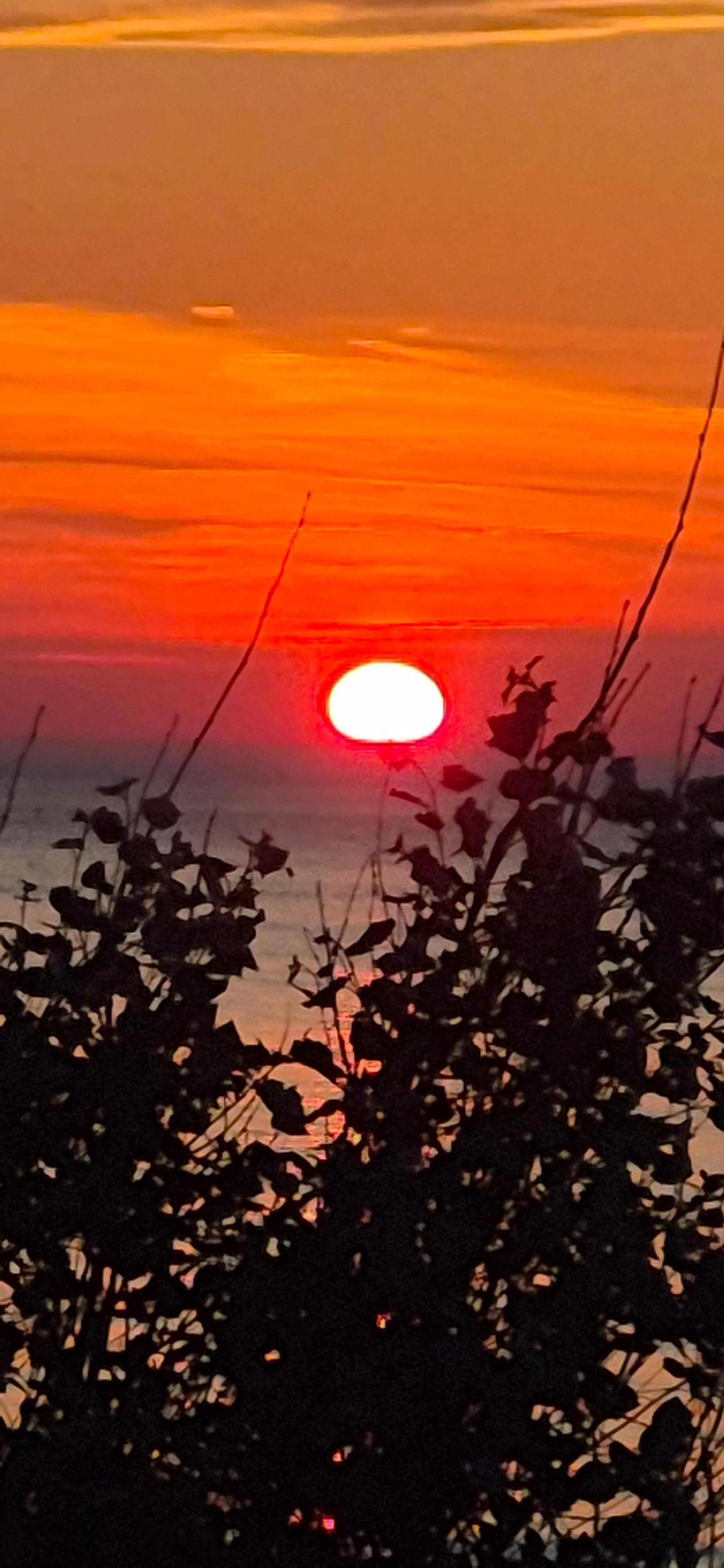 Perfect sunset!
