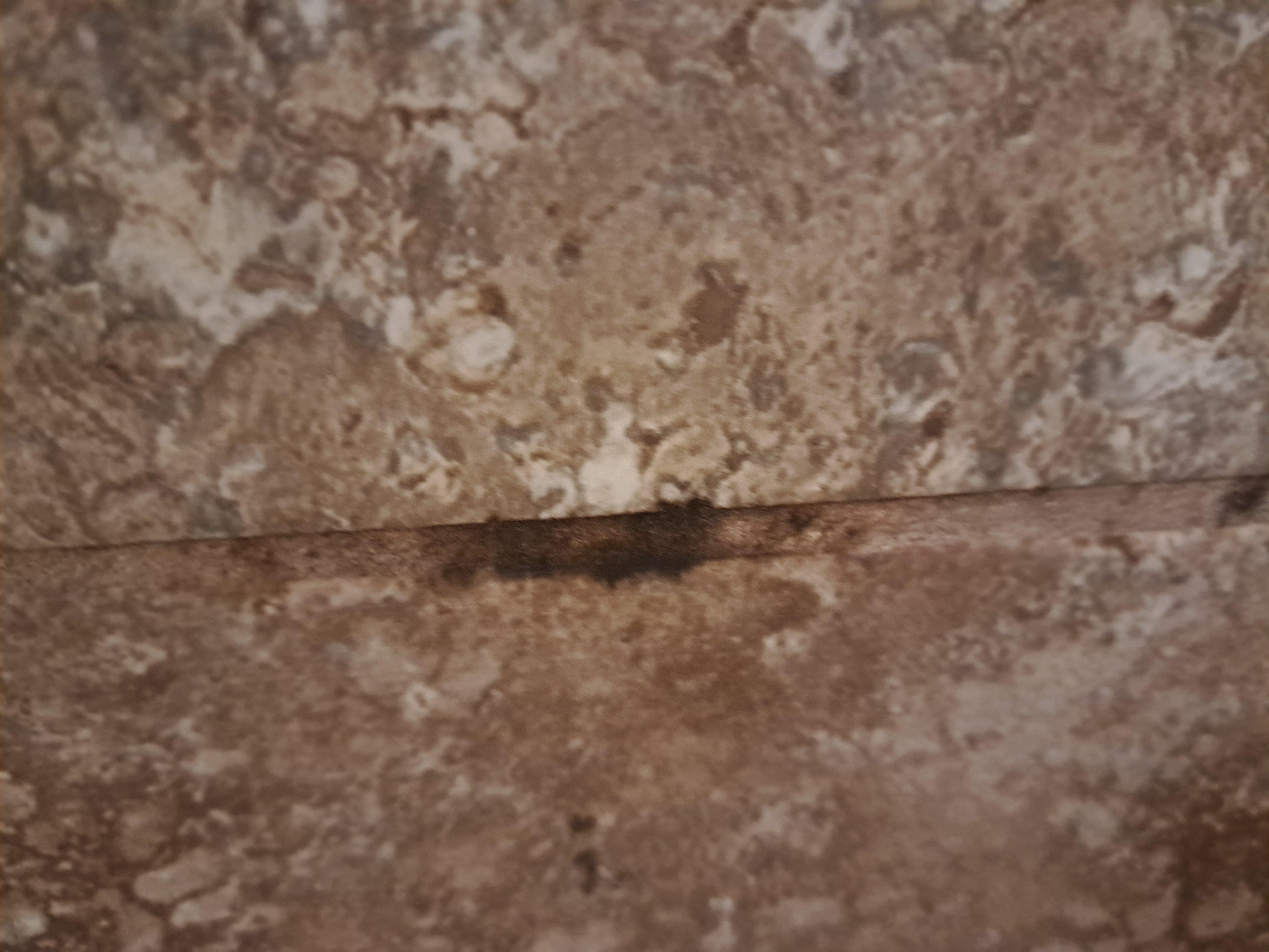 mold between shower tiles