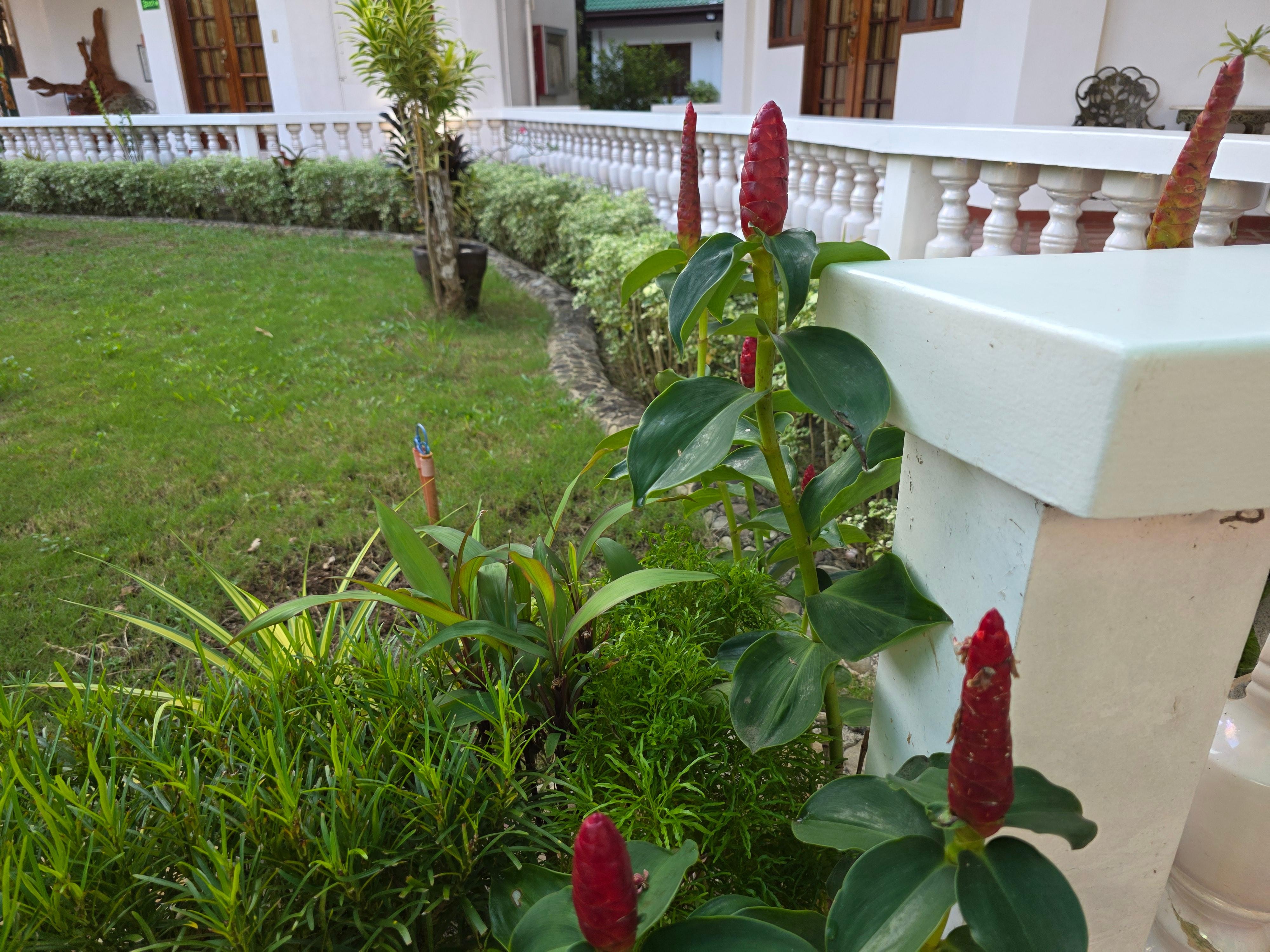 Beautiful and well kept gardens.