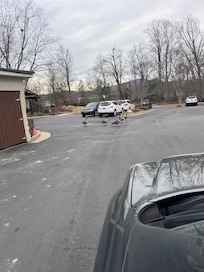 The welcome group ❤️😂