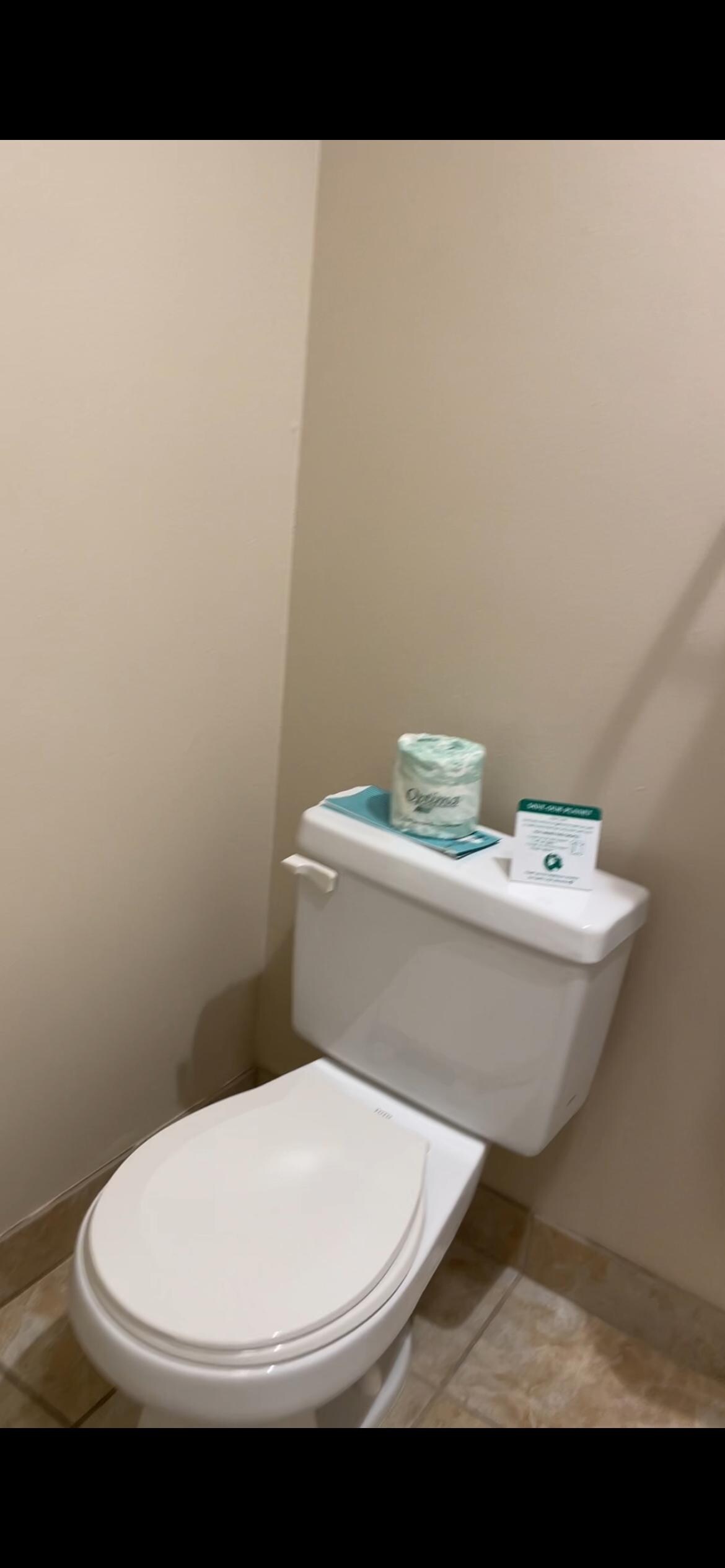 The toilet