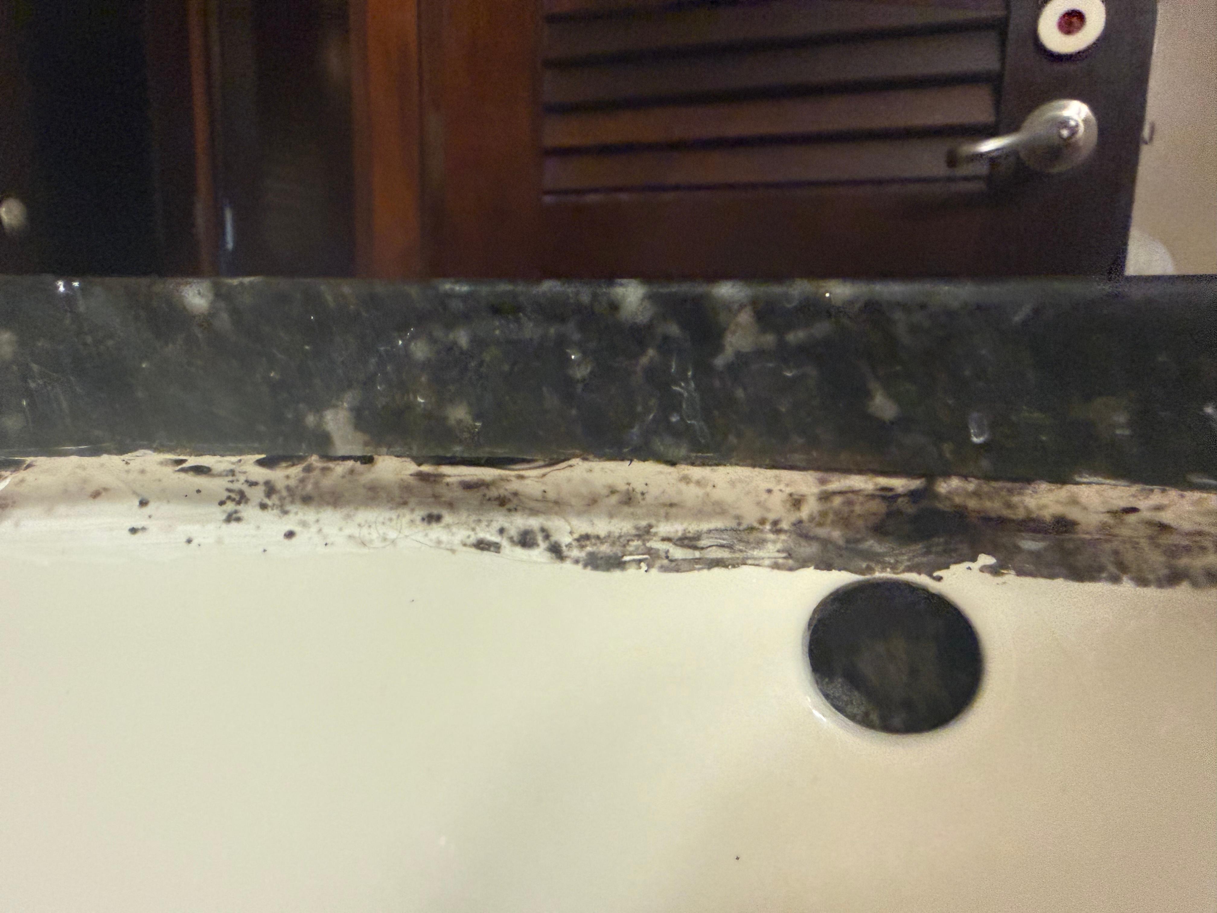Mold around the perimeter of all sinks