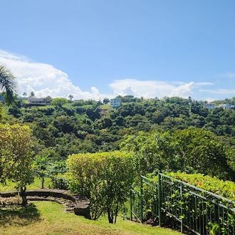 View from the shared yard space