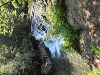 Water's creek falls
