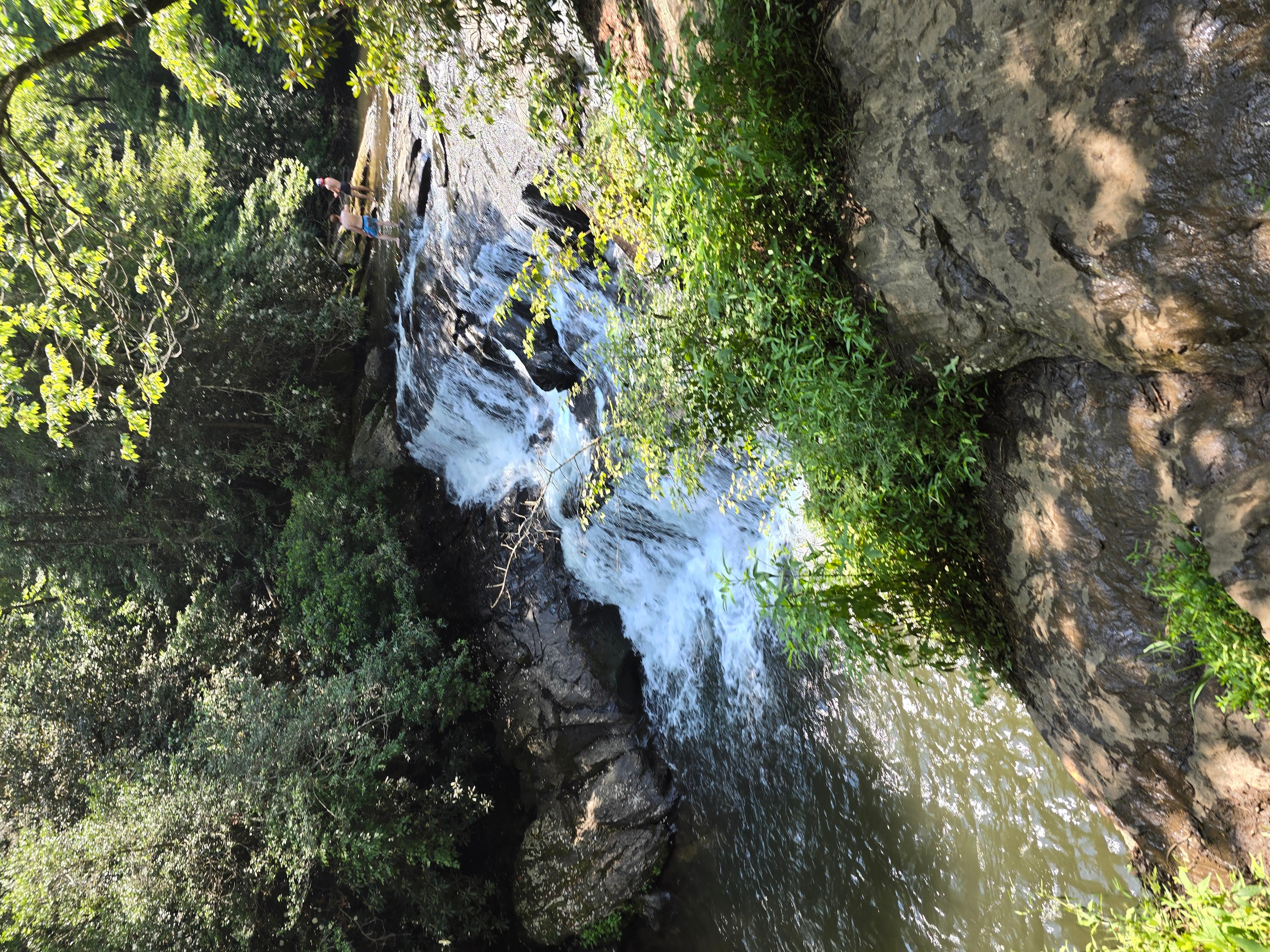 Water's creek falls