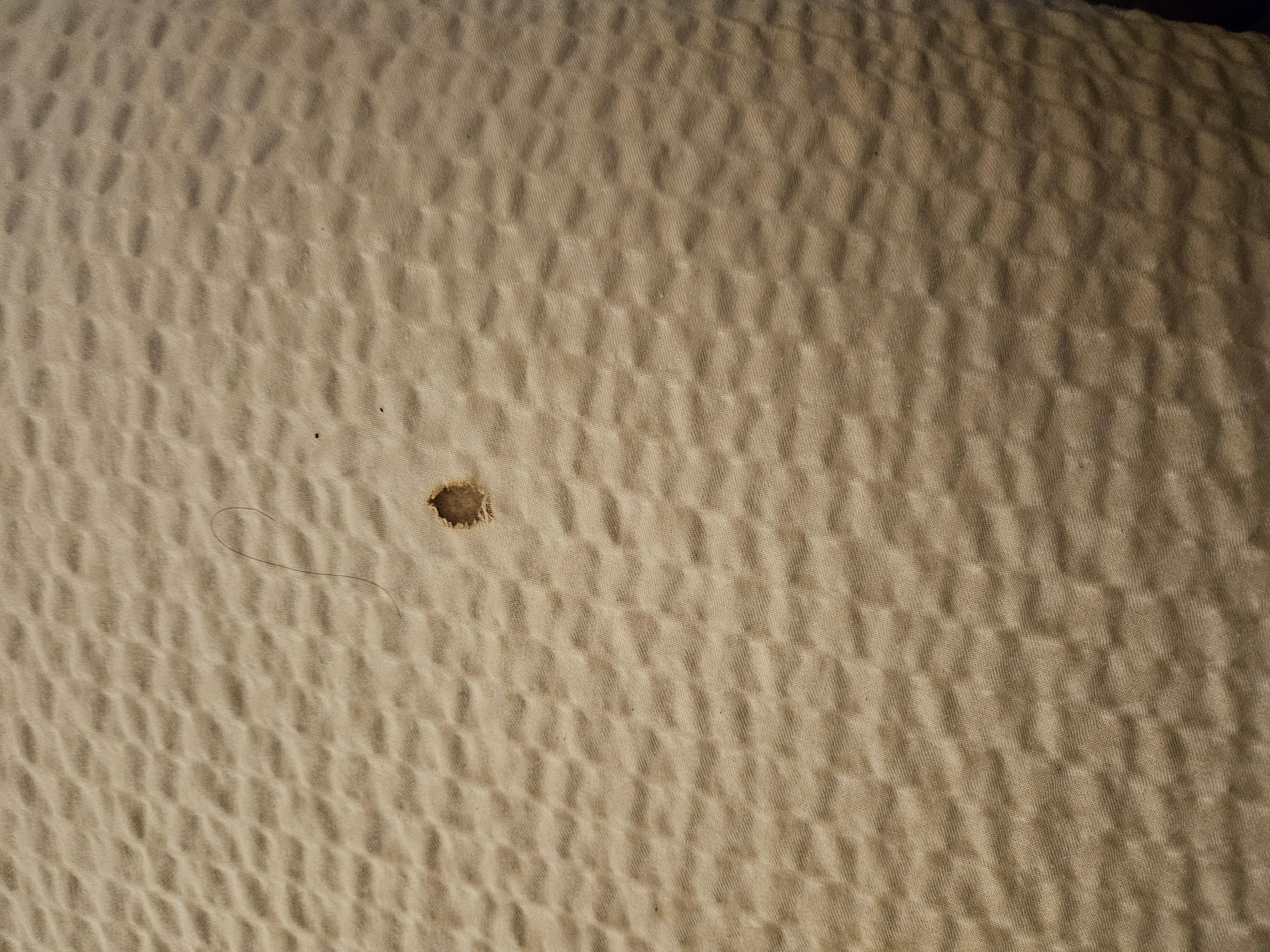 Blood on bed sheet