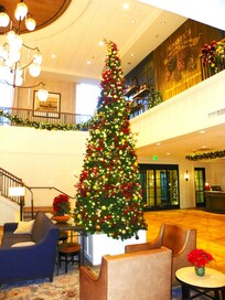Lovely Christmas tree inside the hotel along with other Christmas decorations.