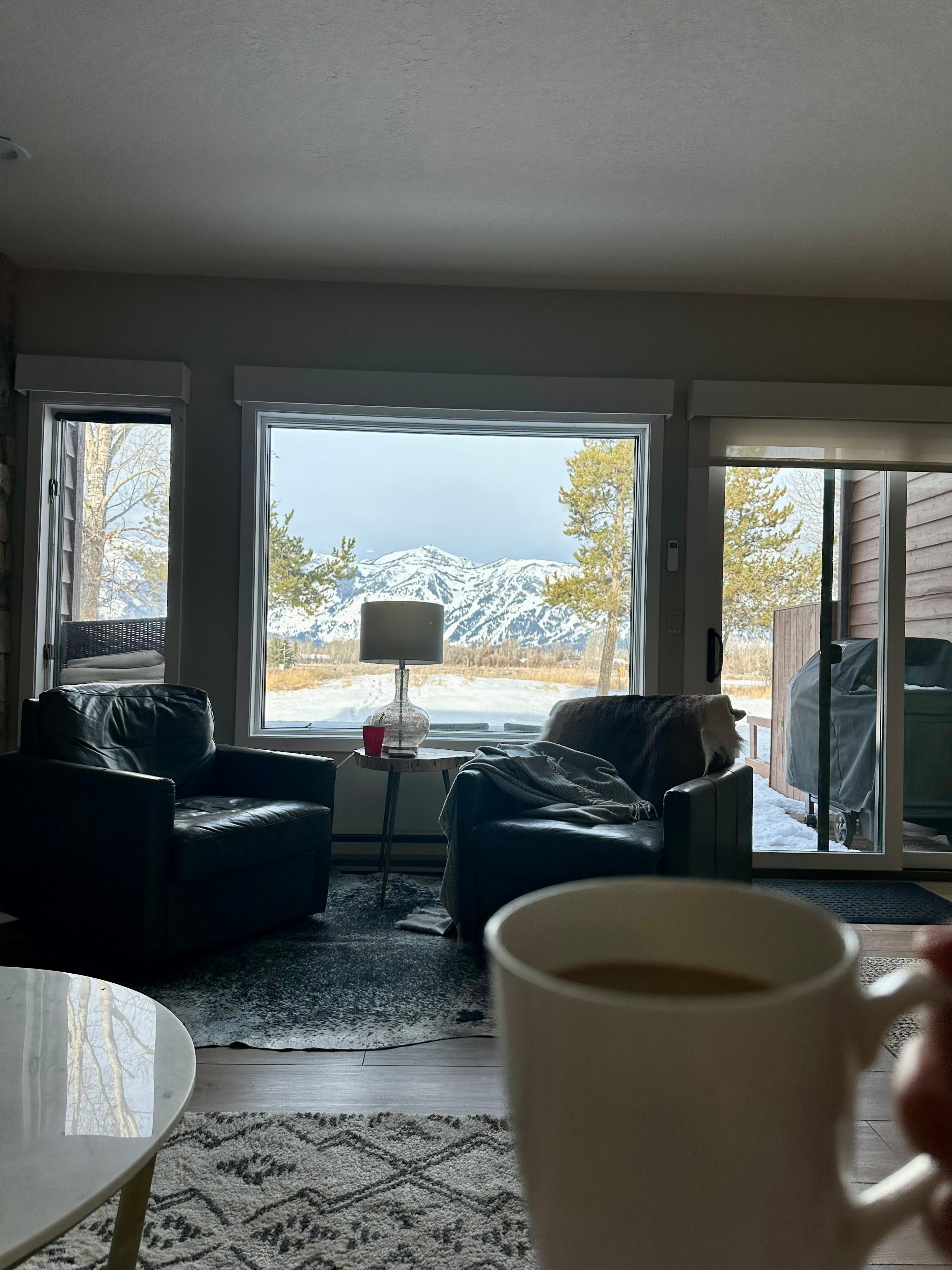 Absolutely gorgeous view for morning coffee 😍☕️ 