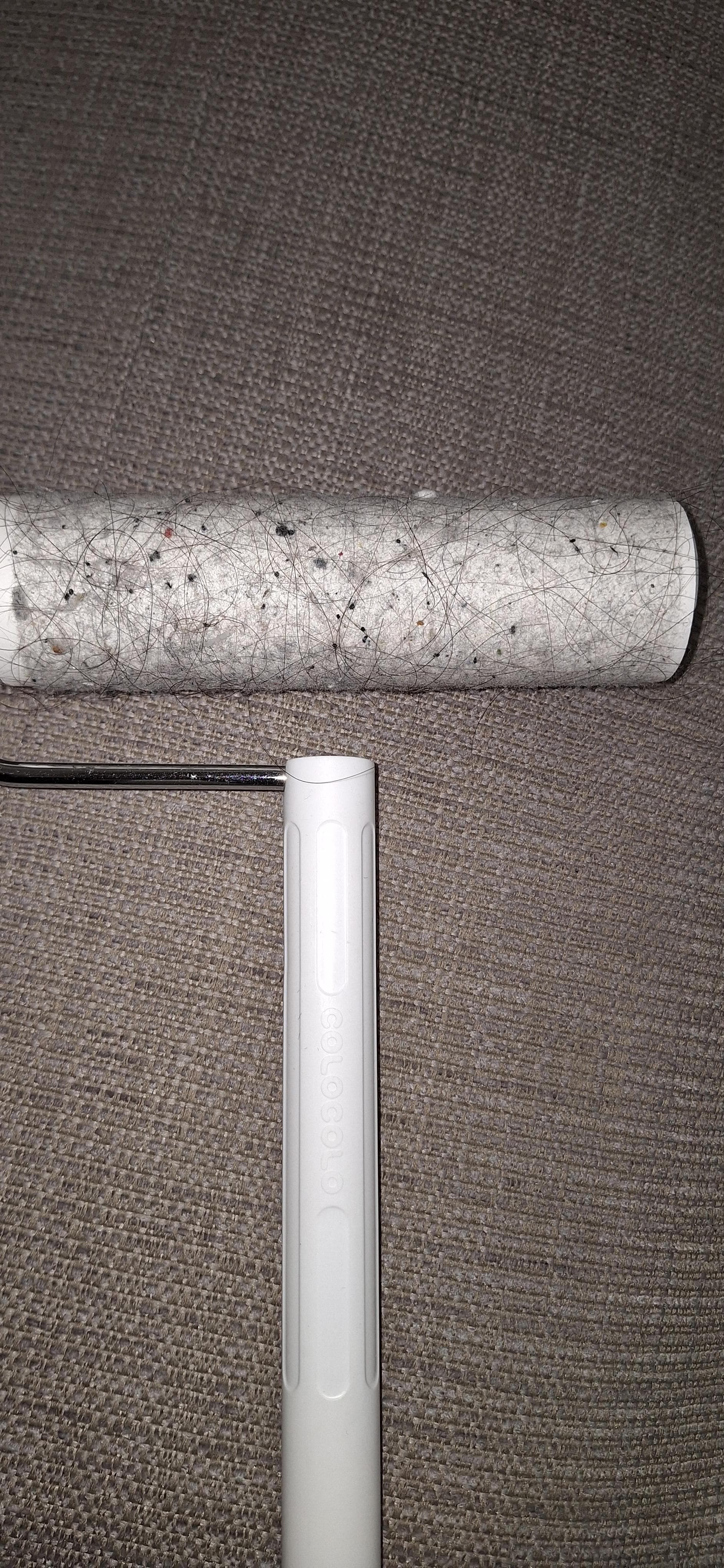 掃除道具を借りて、少し使用しただけで、これだけのゴミがありました。