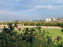 The Beautiful Rose Garden