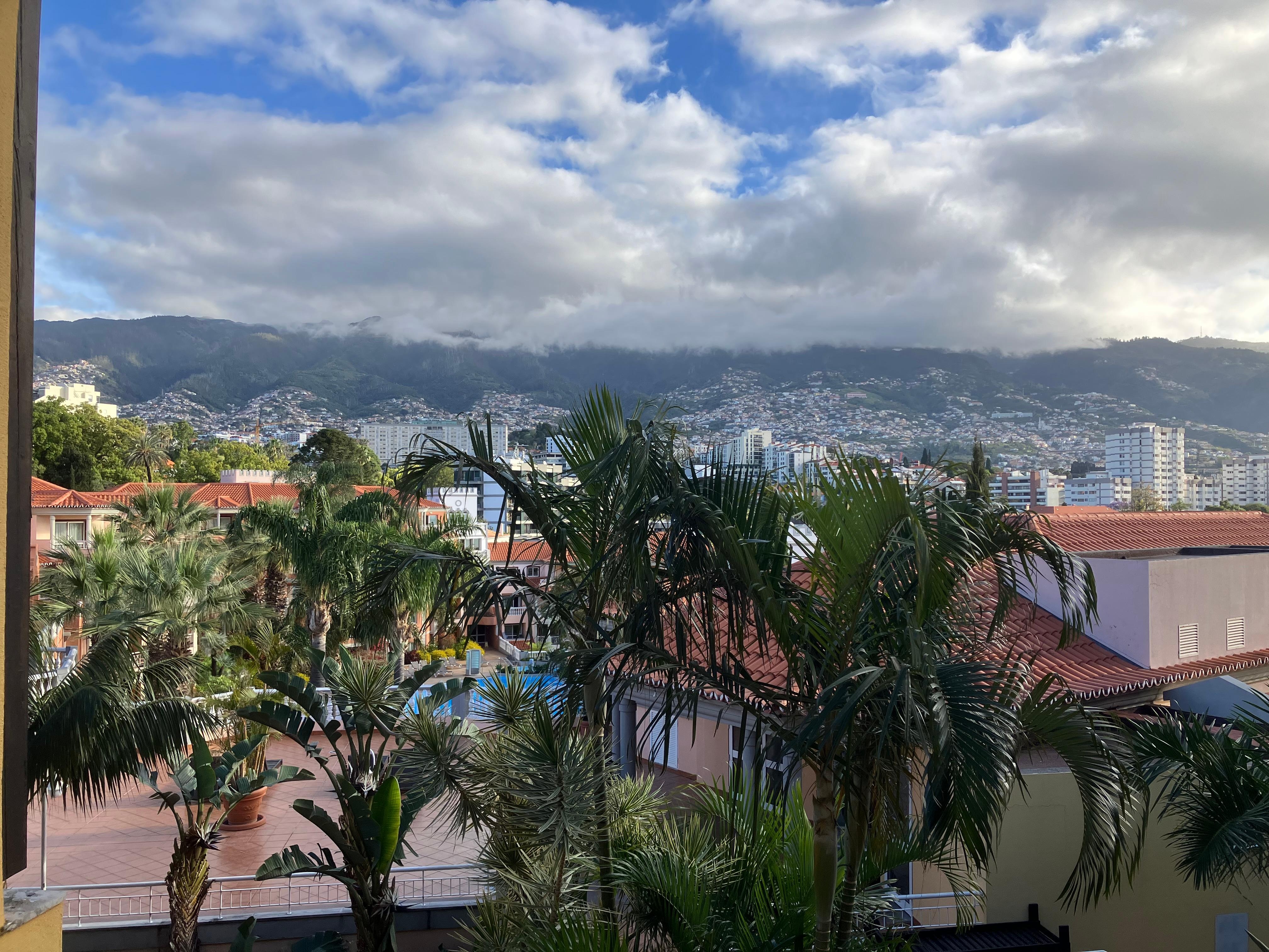 Uitzicht vanuit het hotel op het zwembad.