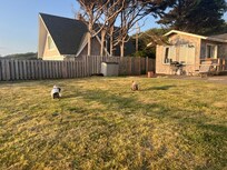 Dog friendly