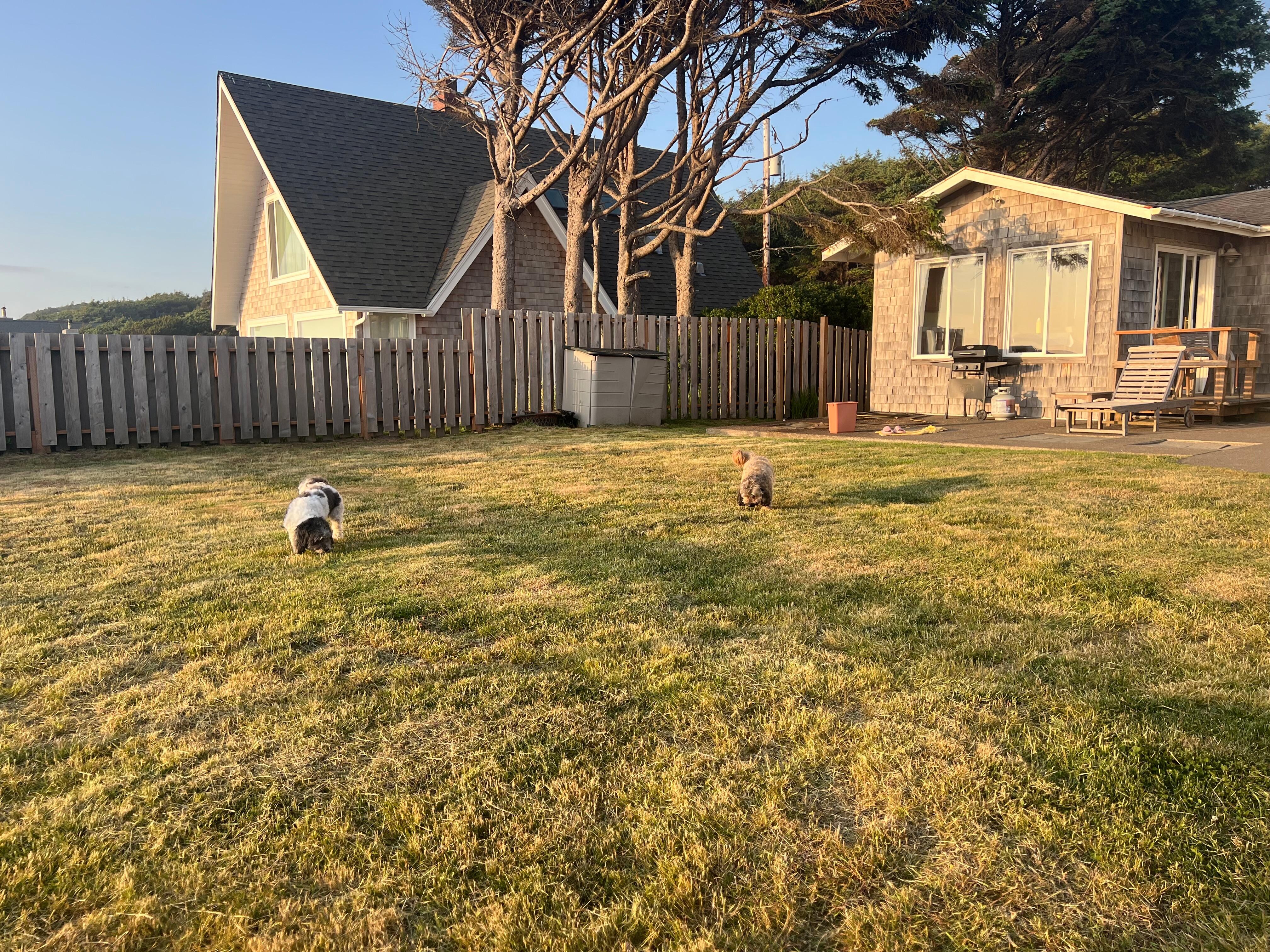 Dog friendly