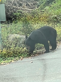 Close to downtown Gattlinburg