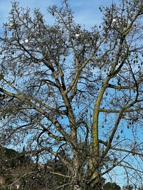 I was fascinated by the different trees and plants.