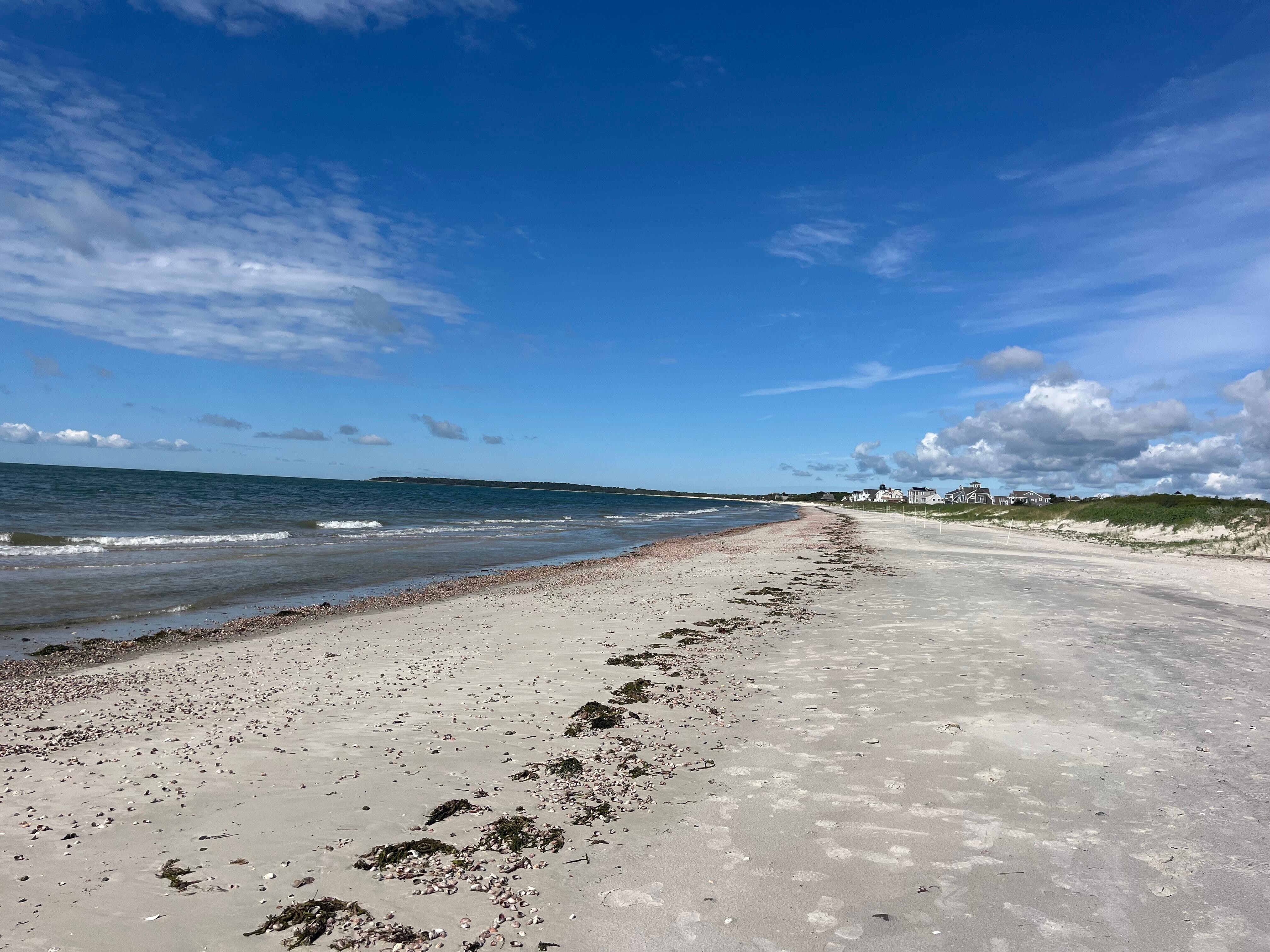 Sea Gull Beach- walking distance 