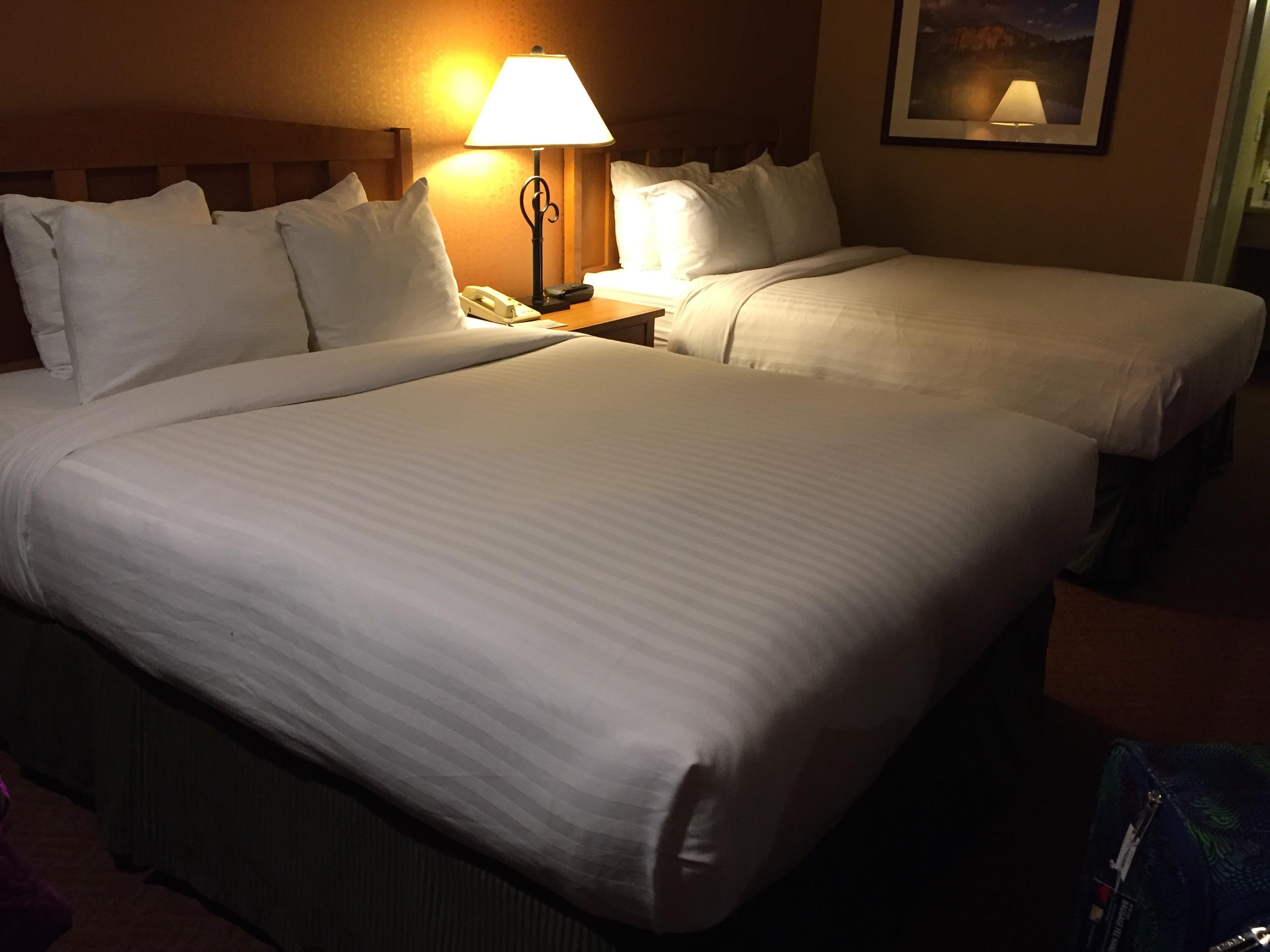 Comfy beds