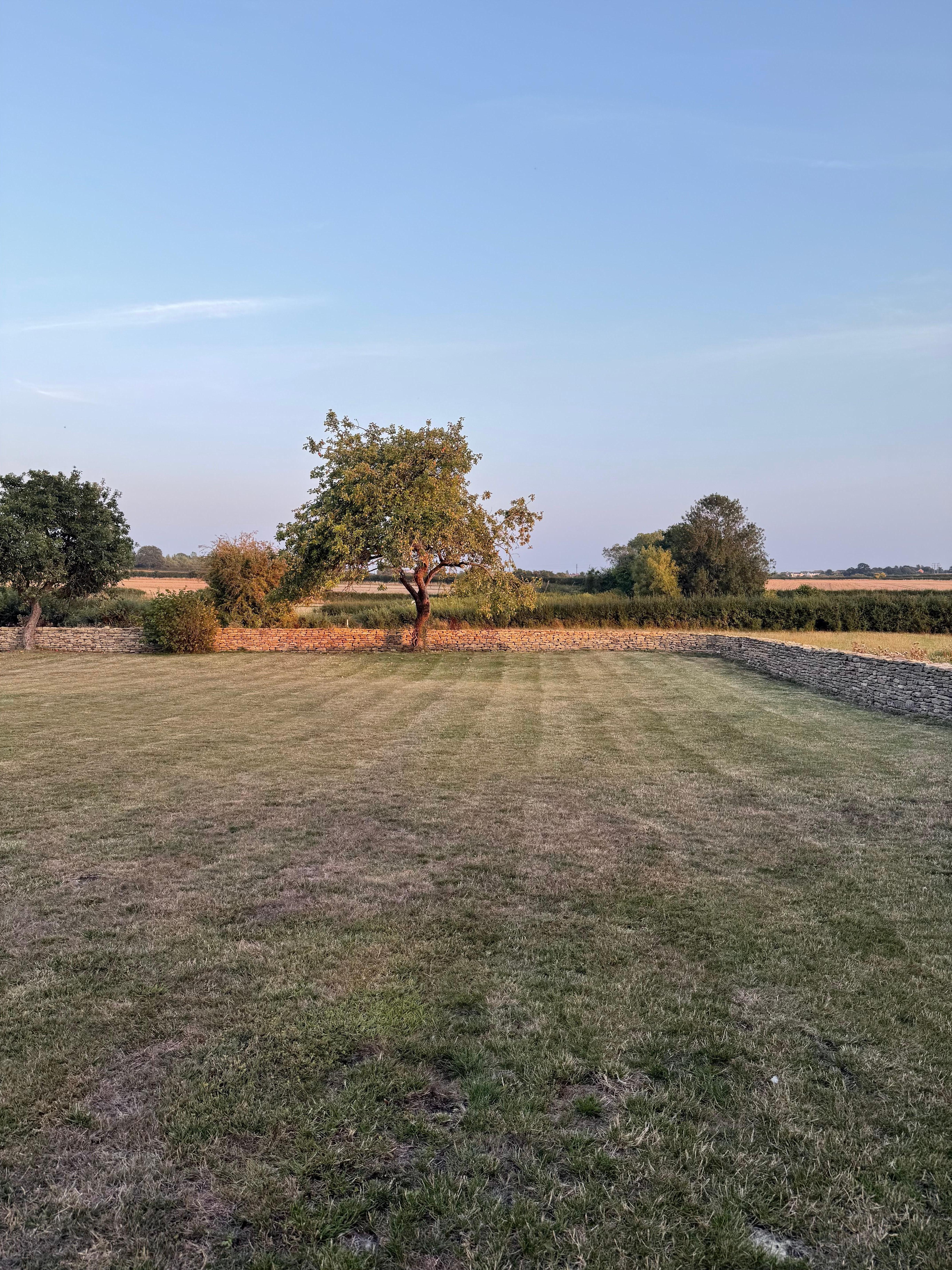 The garden- stunning views. 