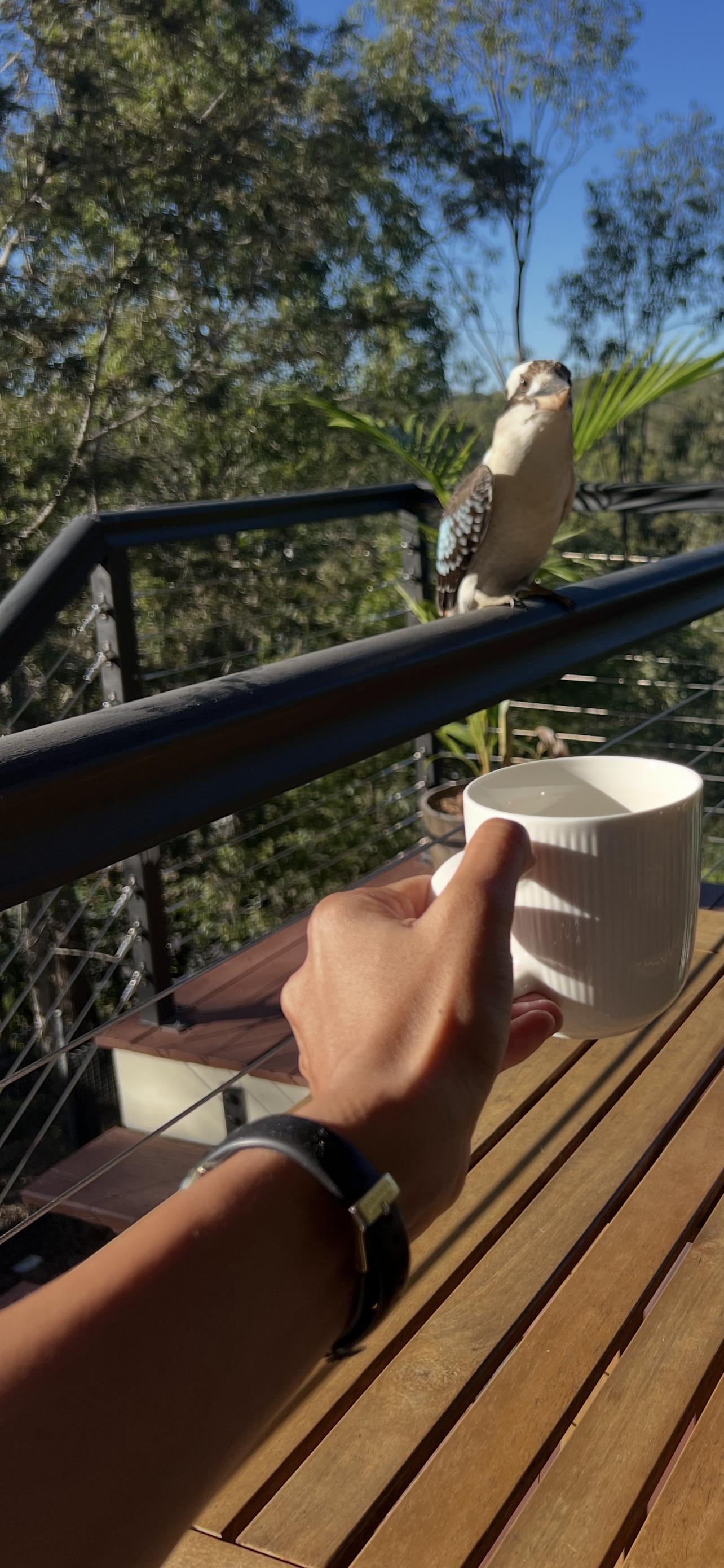 My favorite part of each day, morning coffees on the deck. I would spend a good hour or two here each morning. Brekkys and lunches were always on the deck! 
