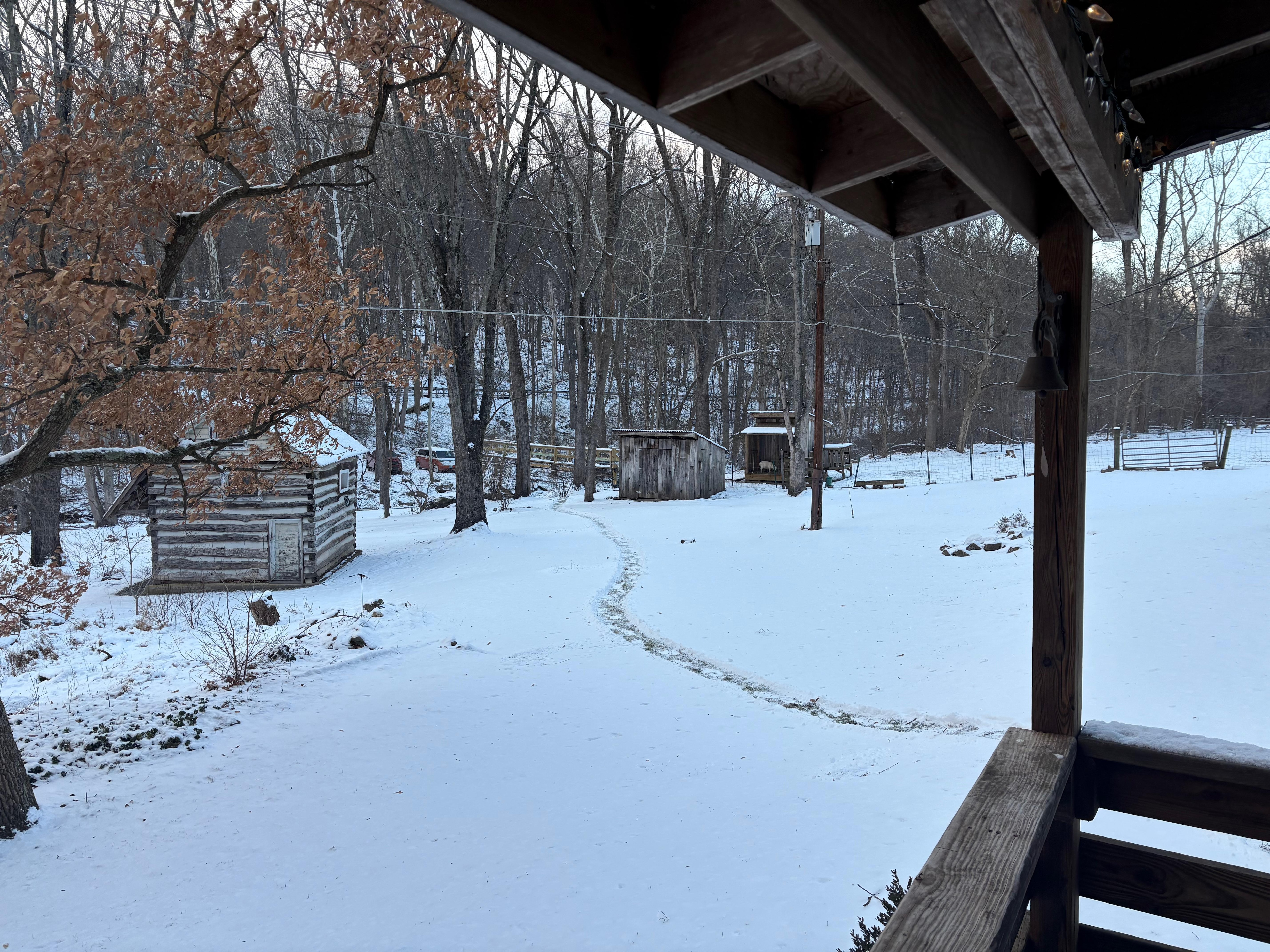 View from the cabin.  You can see how far away the car is (bright orange in the distance)