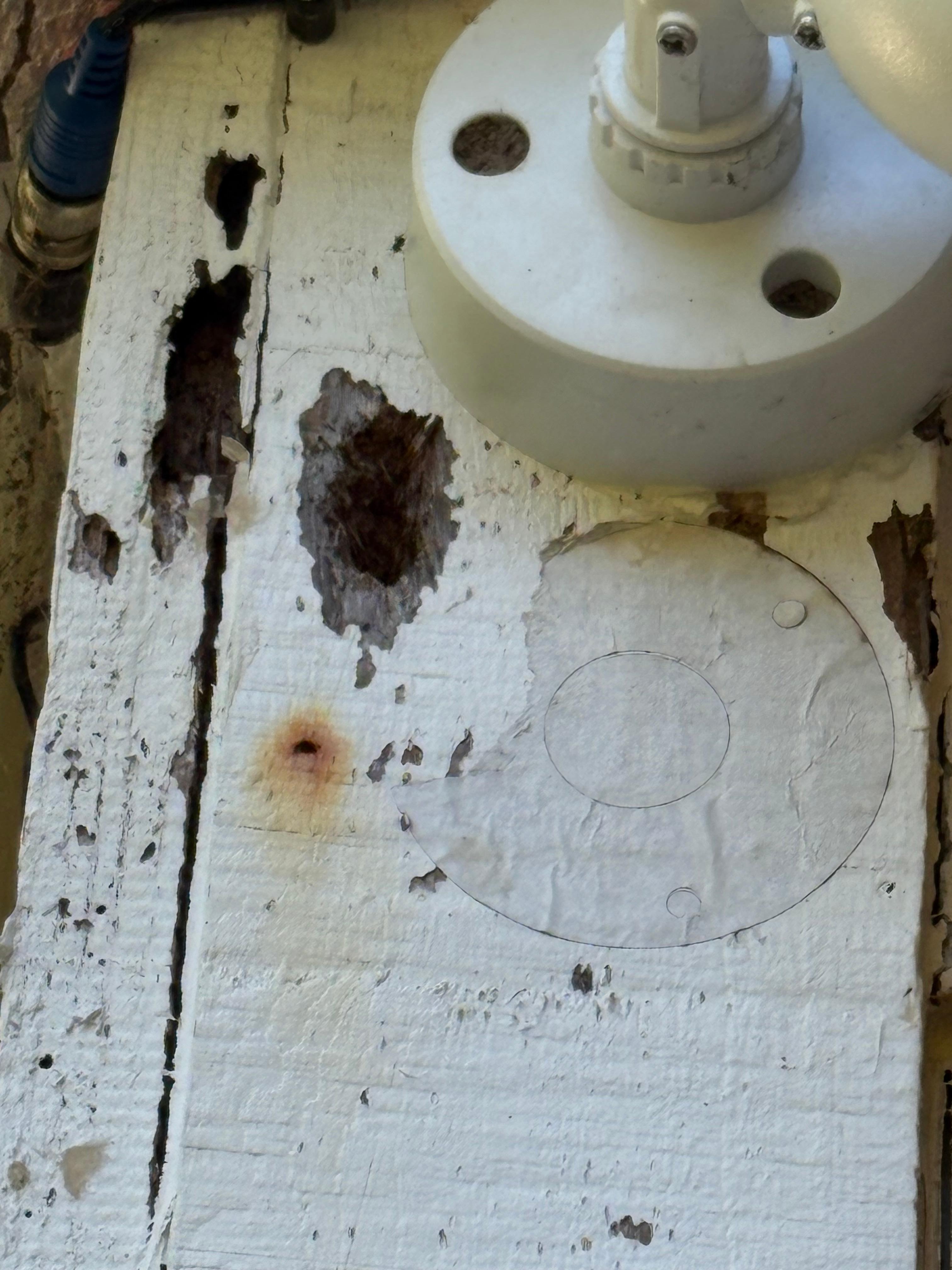 Exterior wall with critter size holes