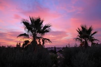 Blick aus dem Zimmer - Sonnenaufgang