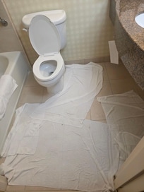 The toilet overflowed, causing water to cover the bathroom floor. When I called the front desk for assistance, front desk guy only brought towels and a plunger. No effort was made to properly clean or fix the issue, and I was forced to l