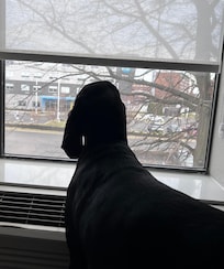 Checking out the neighbors!