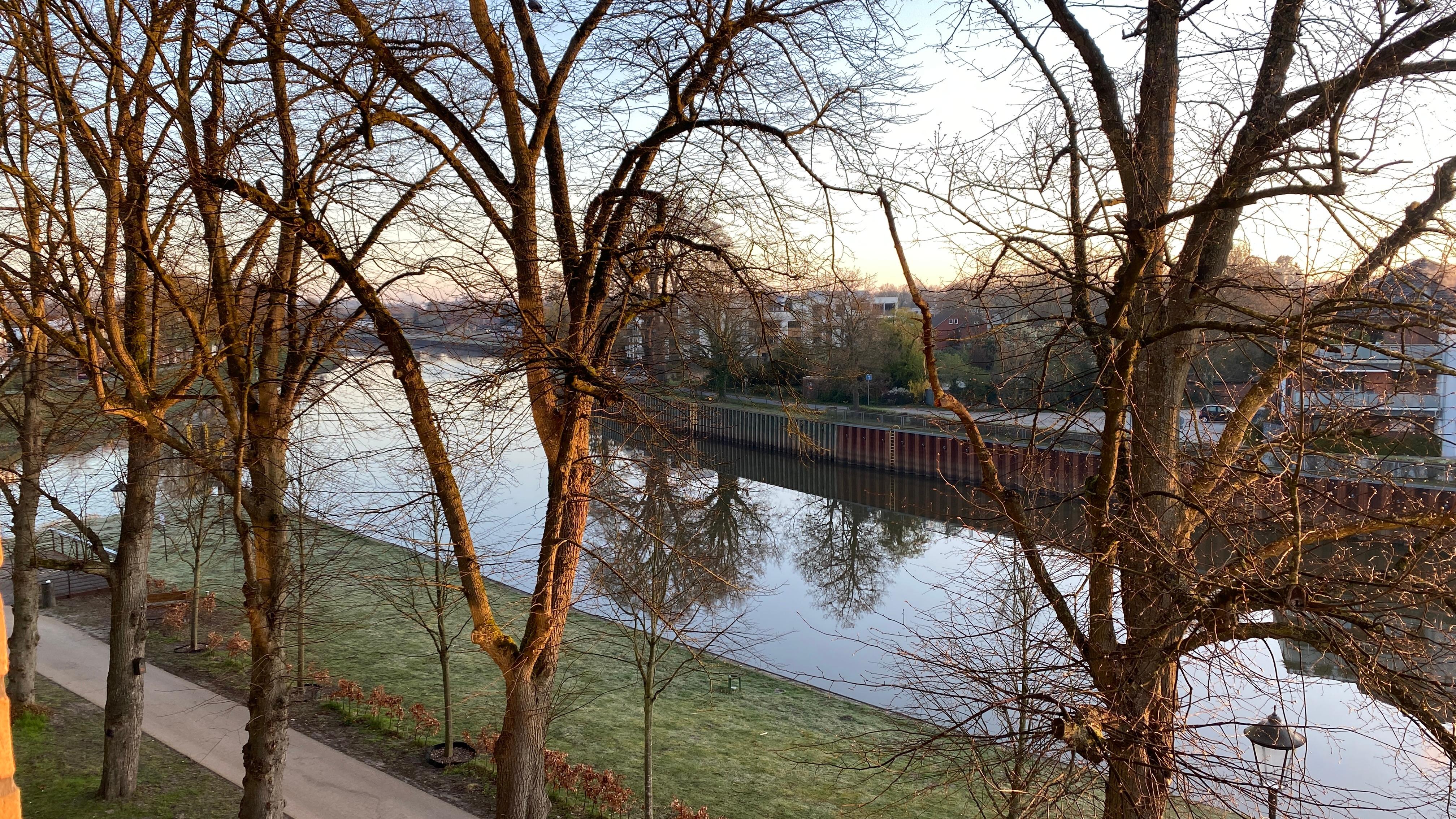 View from my room