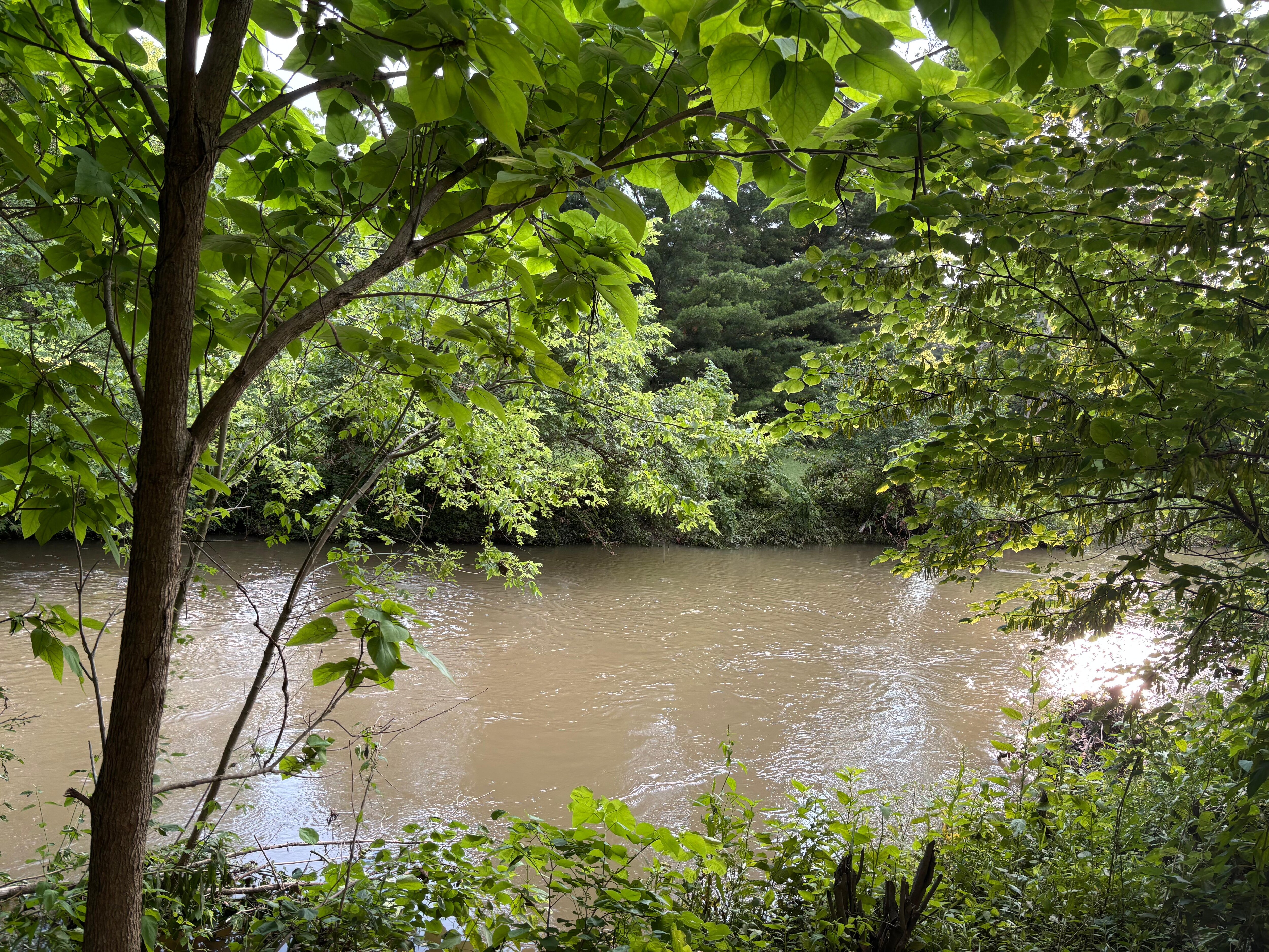 Little stream behind the hotel