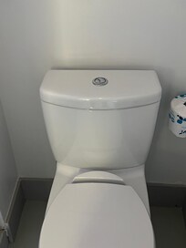 “Eco Friendly” Toilet