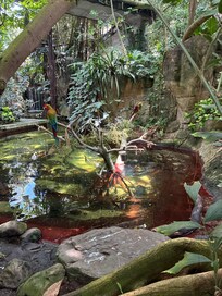 Moody gardens
