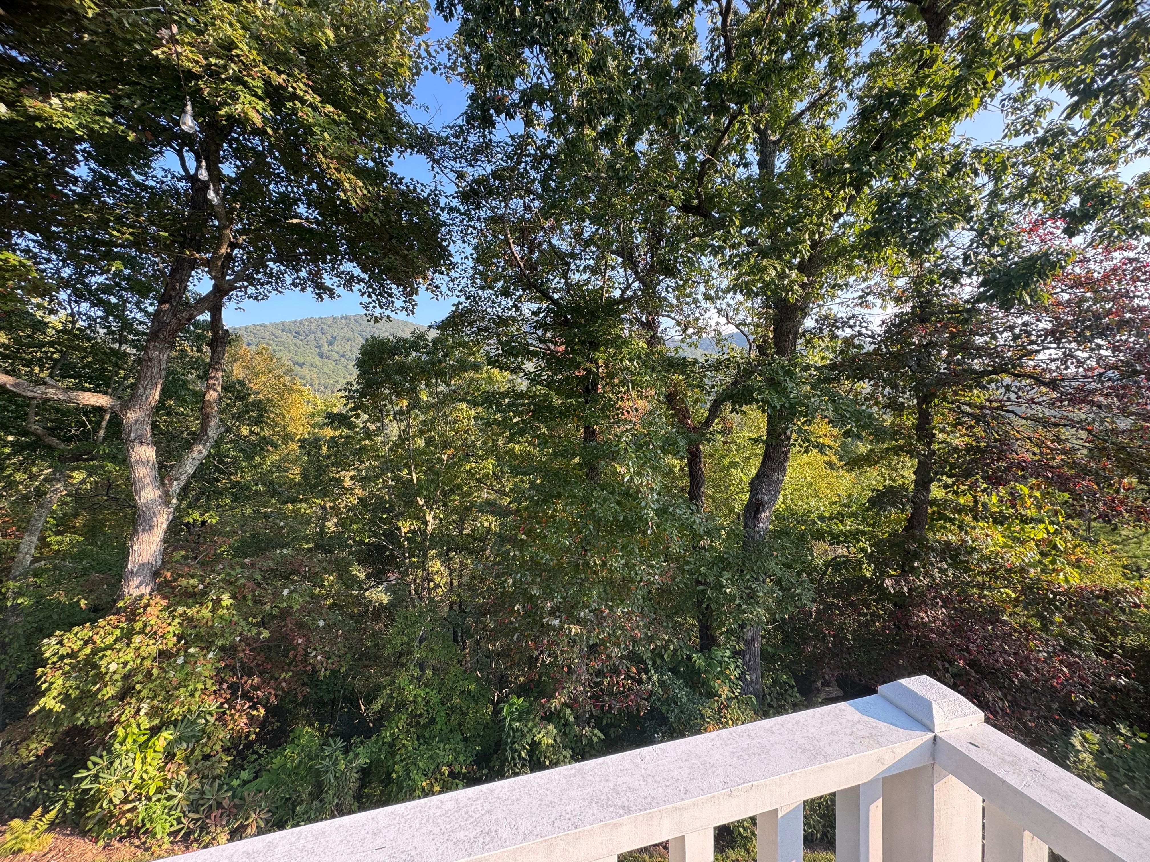 Beautiful view from the deck