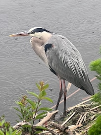 St Andrews State Park