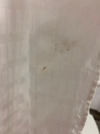 shower curtain unhygienic!