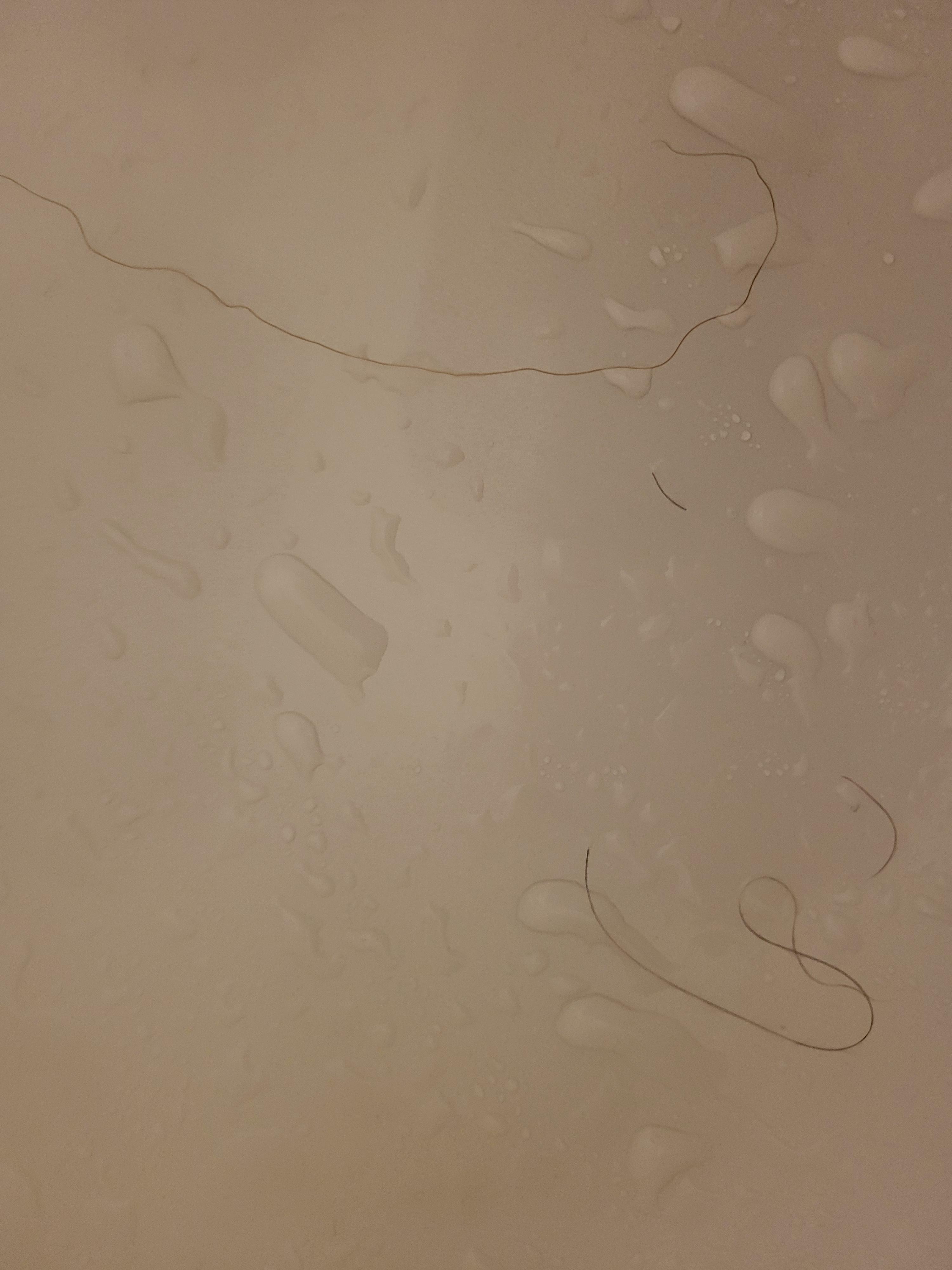 hairs on tub floor and no wash cloths

